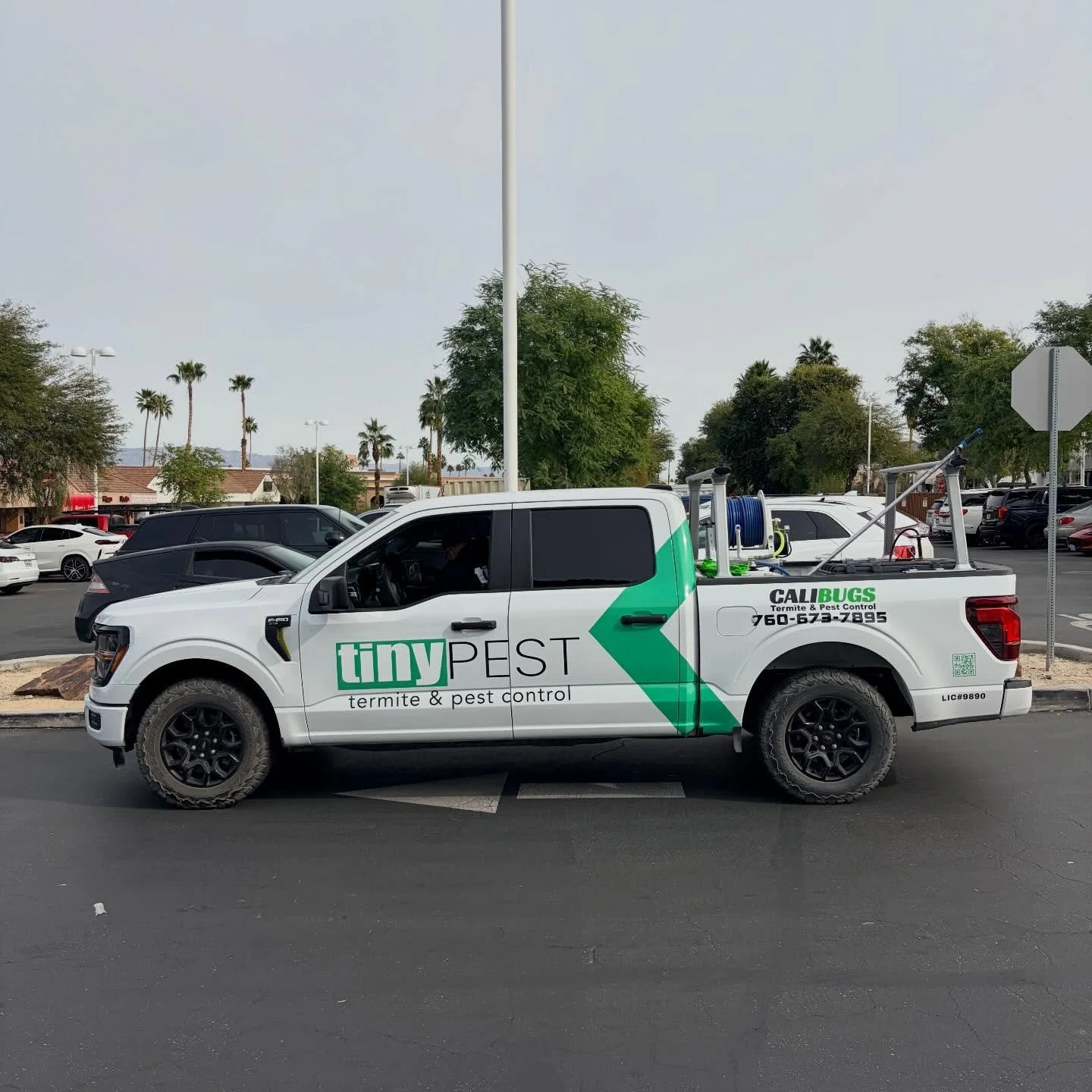 #tinypest