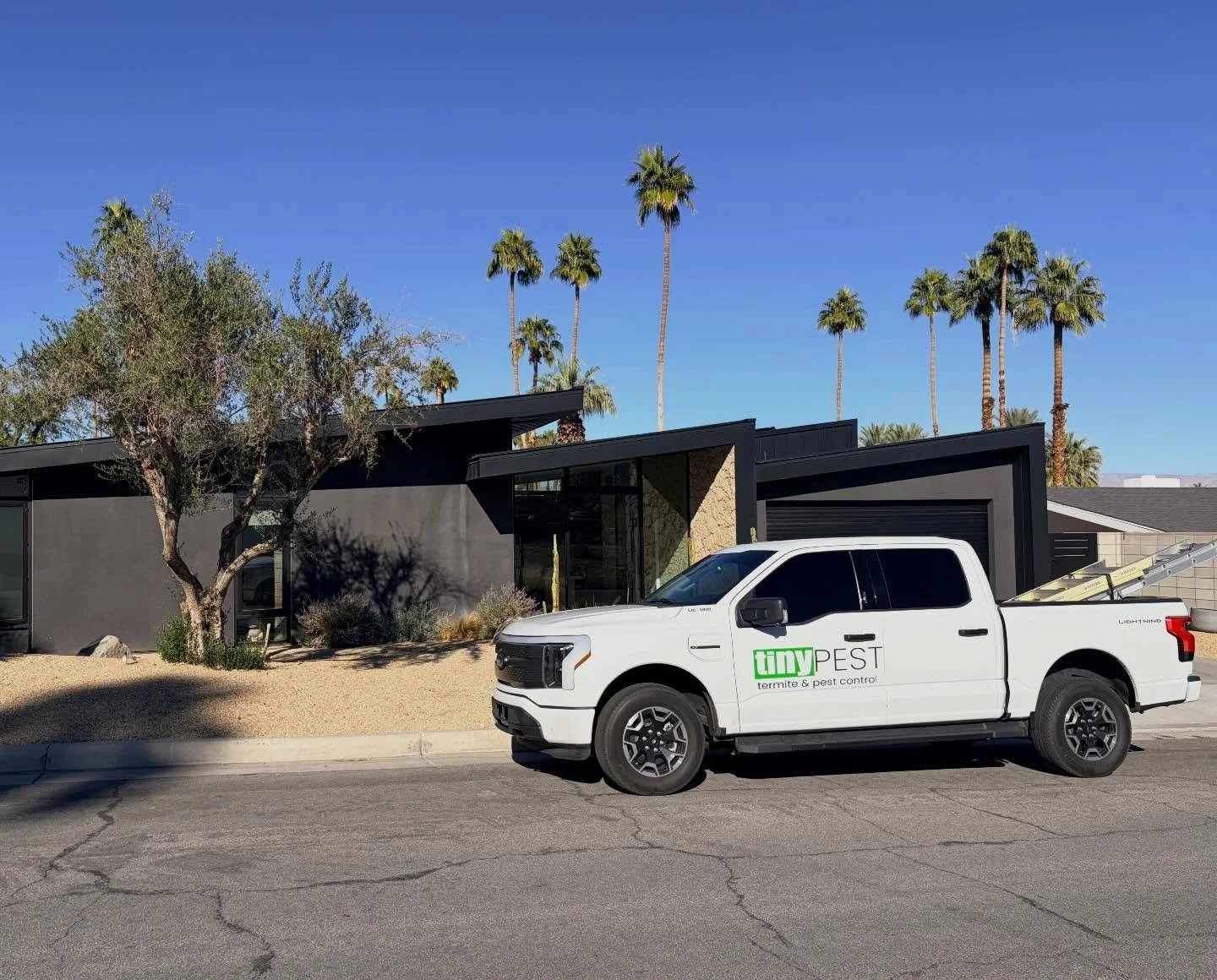 Eco friendly. Service Obsessed Pest Control
#tinypest #homeservice #pestcontrol