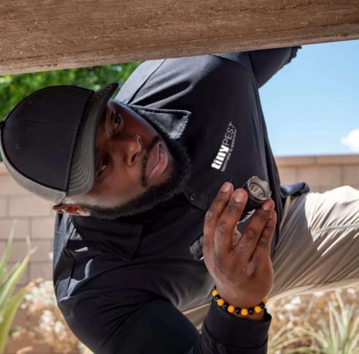 Pests Gone Guarantee&mdash;Coachella Valley&rsquo;s premium pest service. Termites, Ants, Bugs, Bees, Mosquitoes, Mice, Rats&mdash;we do it all! #tinypest #pestcontrol