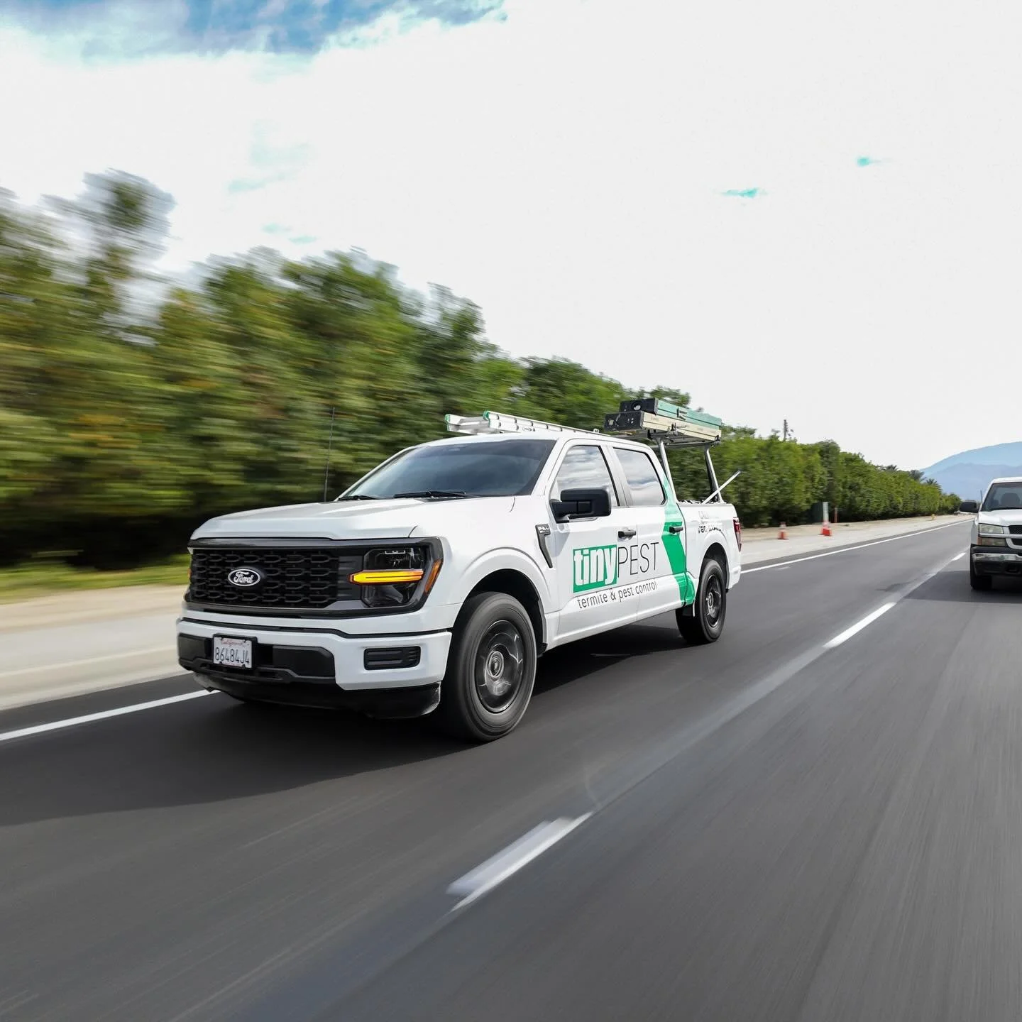 Attention to detail throughout 🎯 
#tinypest #pestcontrol #terminix