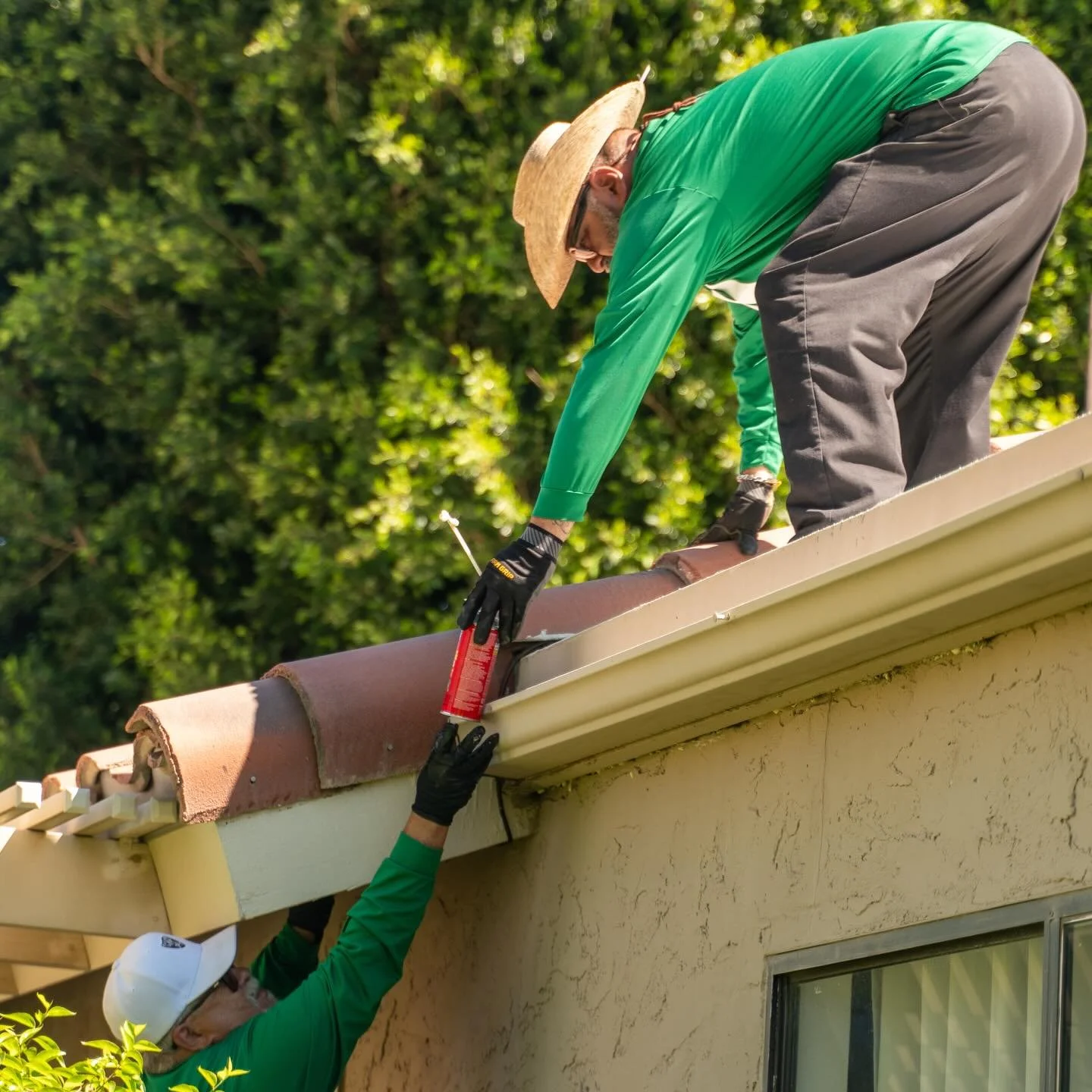 Teamwork. 
#tinypest #pestcontrol #coachellavalley #homeservice