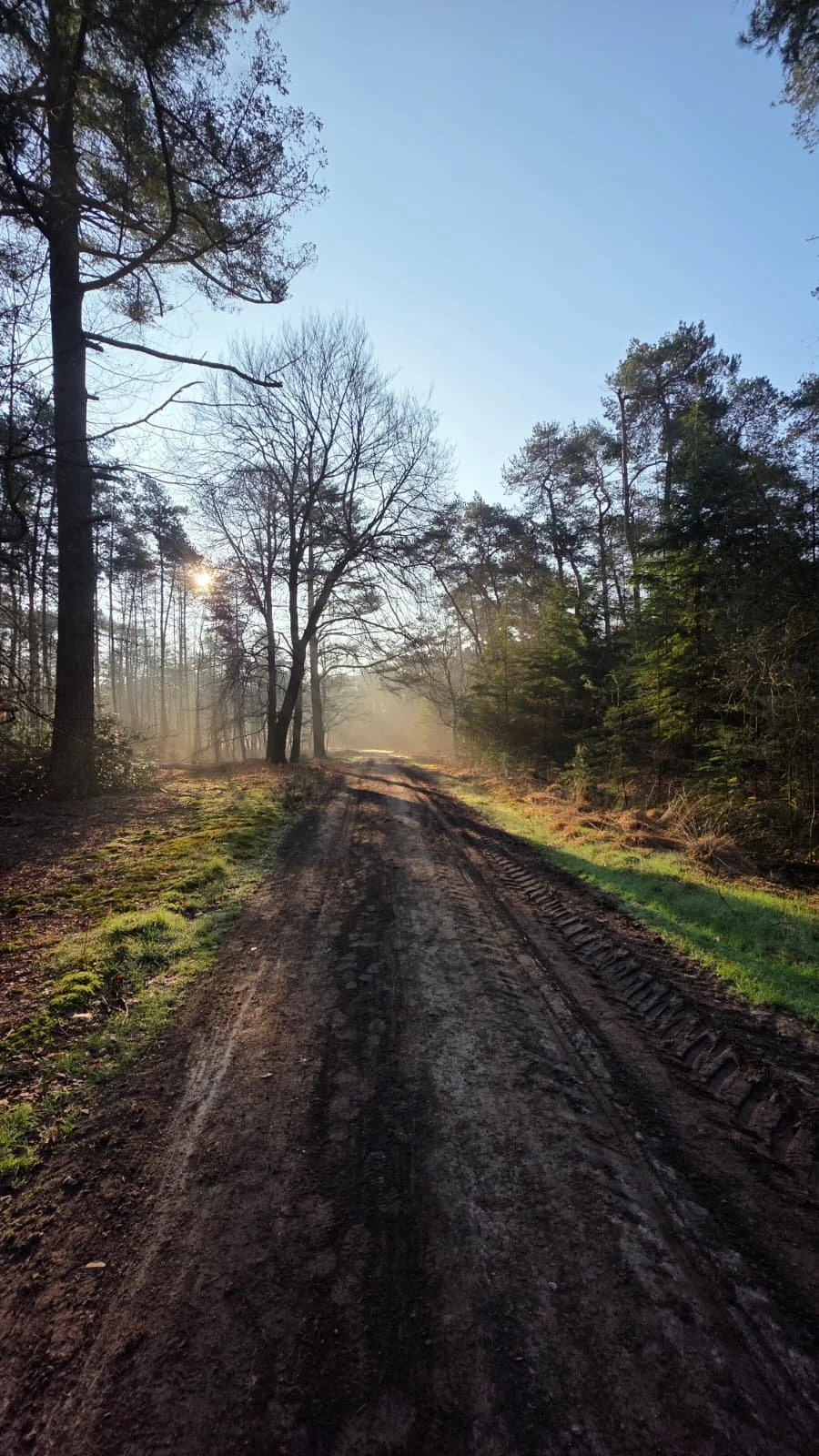 WhatsApp Image 2026-03-22 at 17.30.35.jpeg