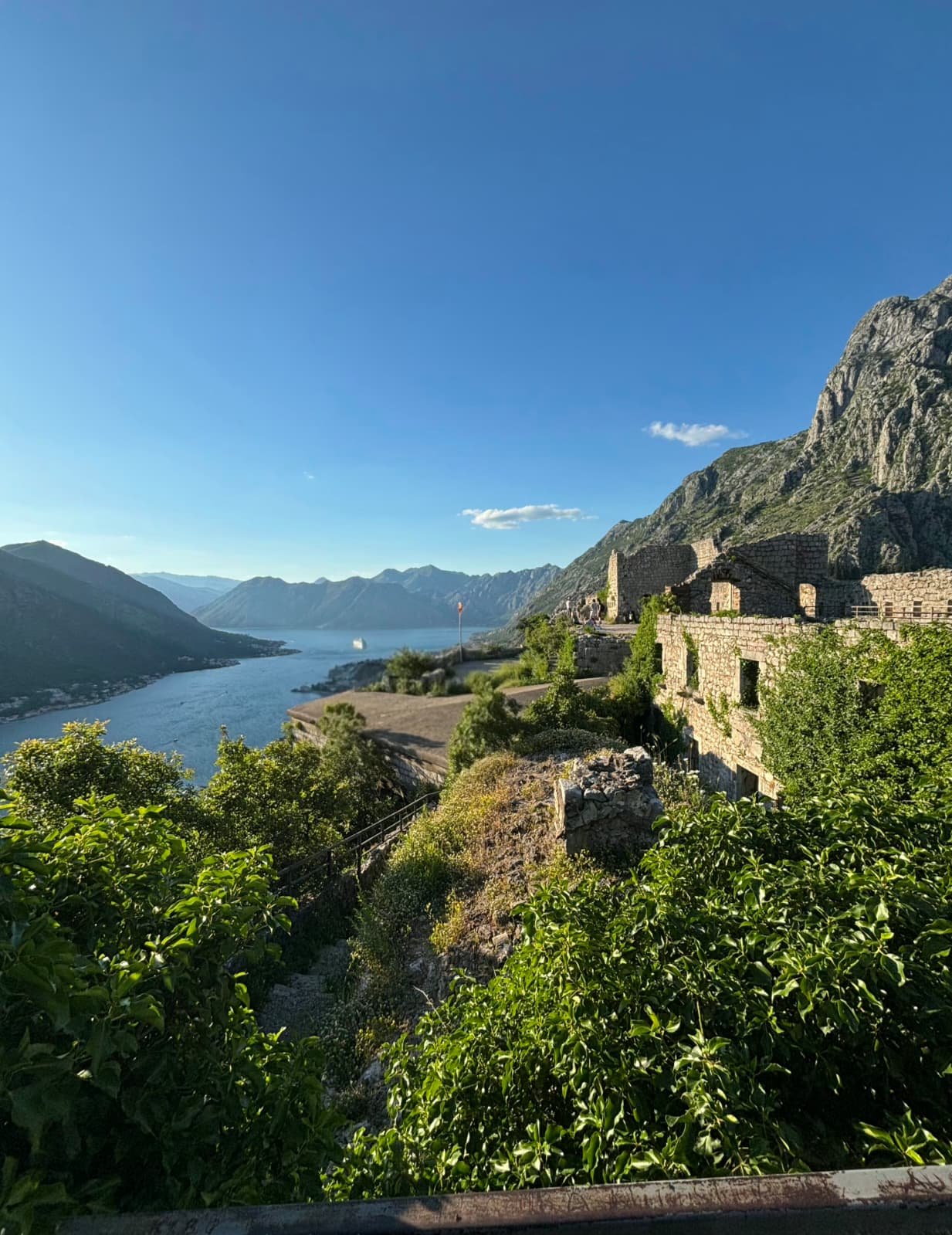 WhatsApp Image 2026-04-10 at 13.25.30.jpeg