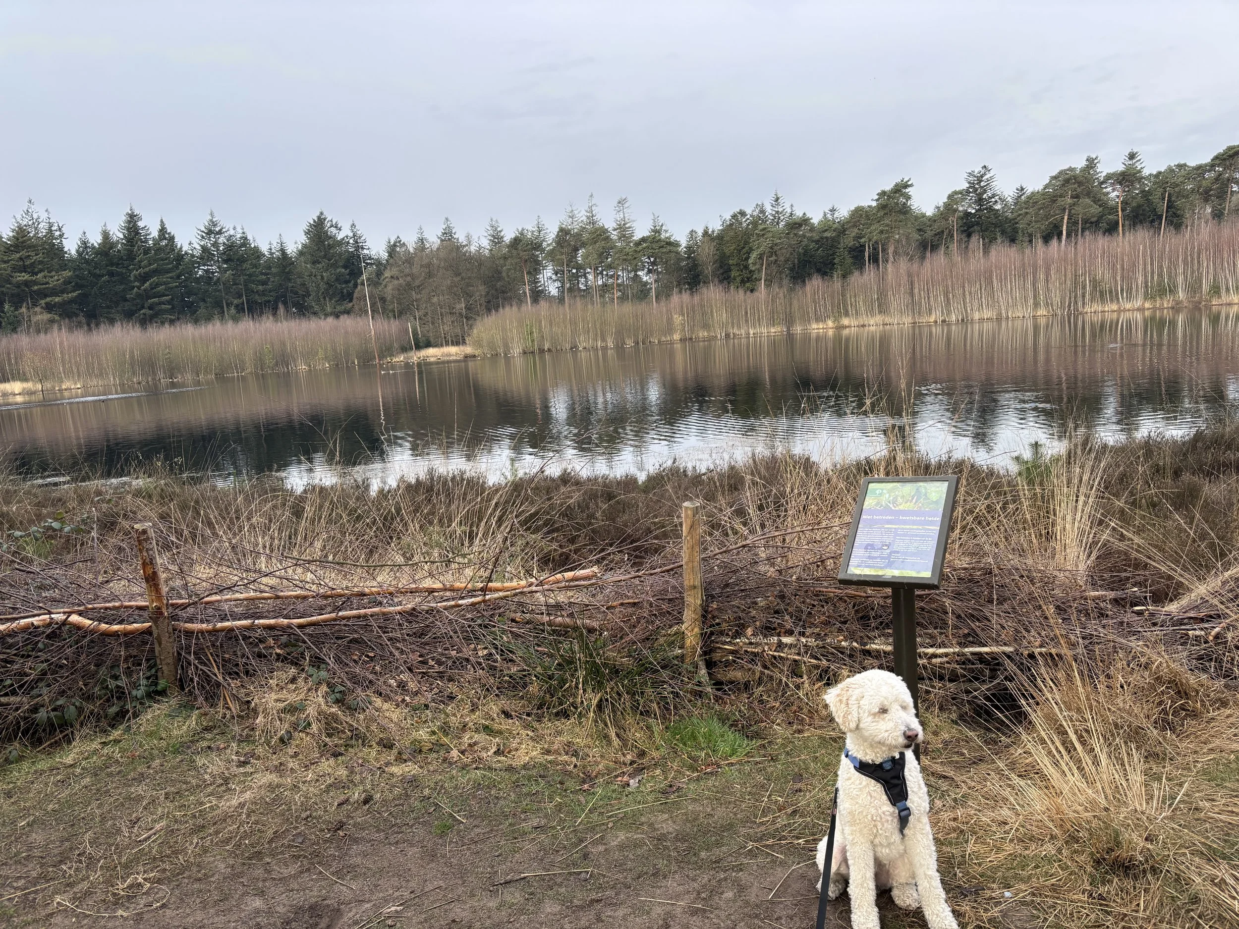 Historische Route Mastbos