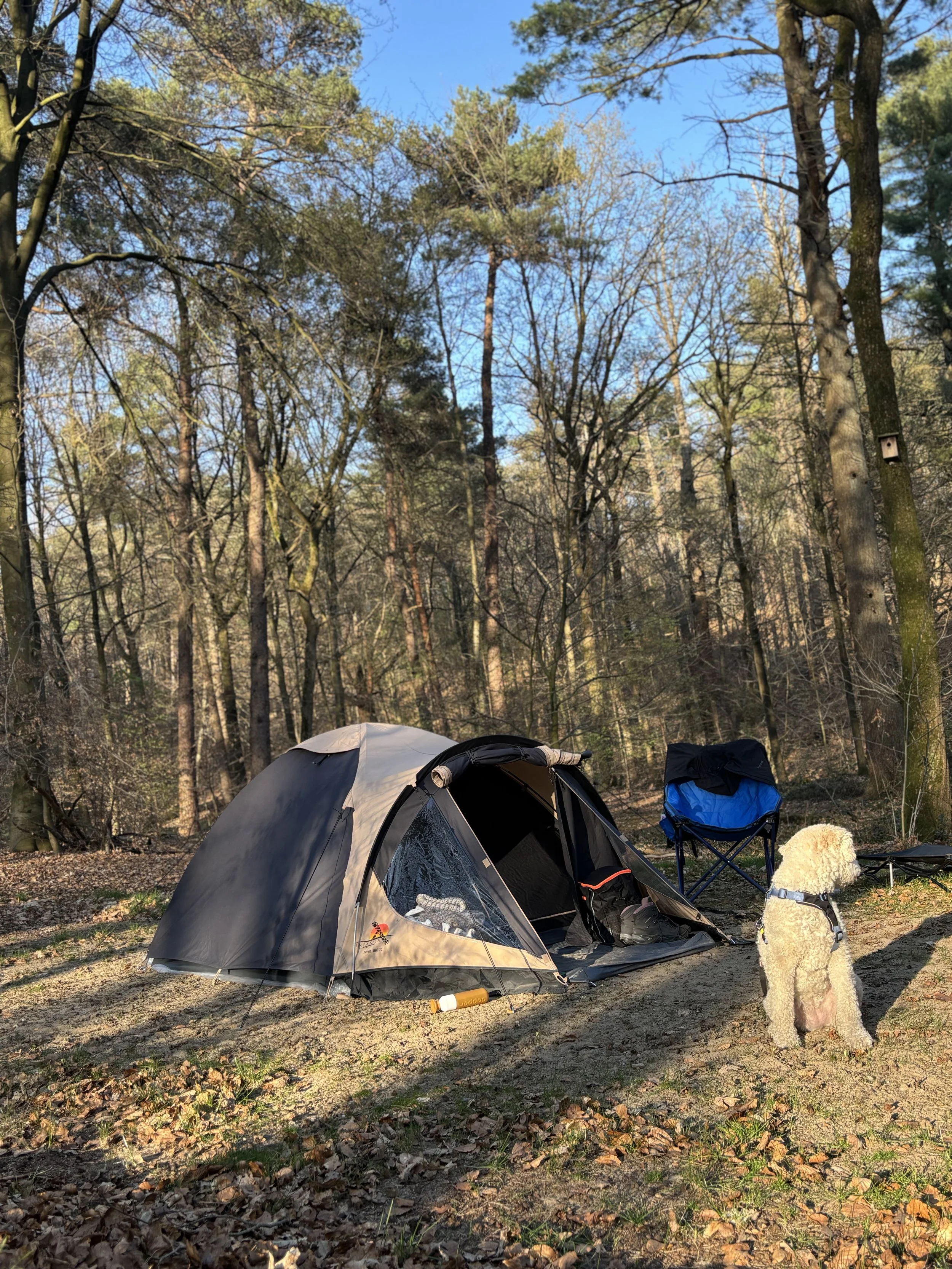 Kamperen met Riley; eerste nacht onder canvas.