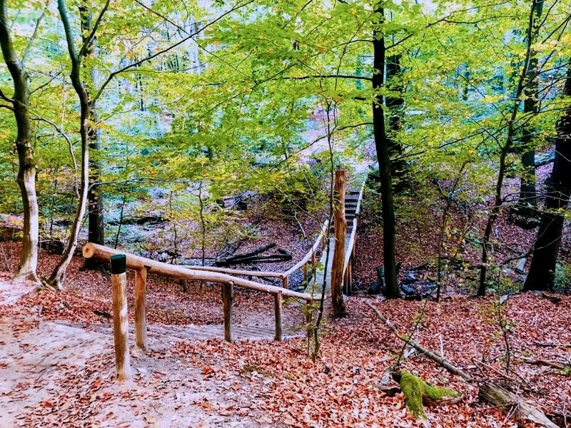 Hoe ik dacht “dit kan ik wel” en halverwege mijn knieën hoorde huilen.