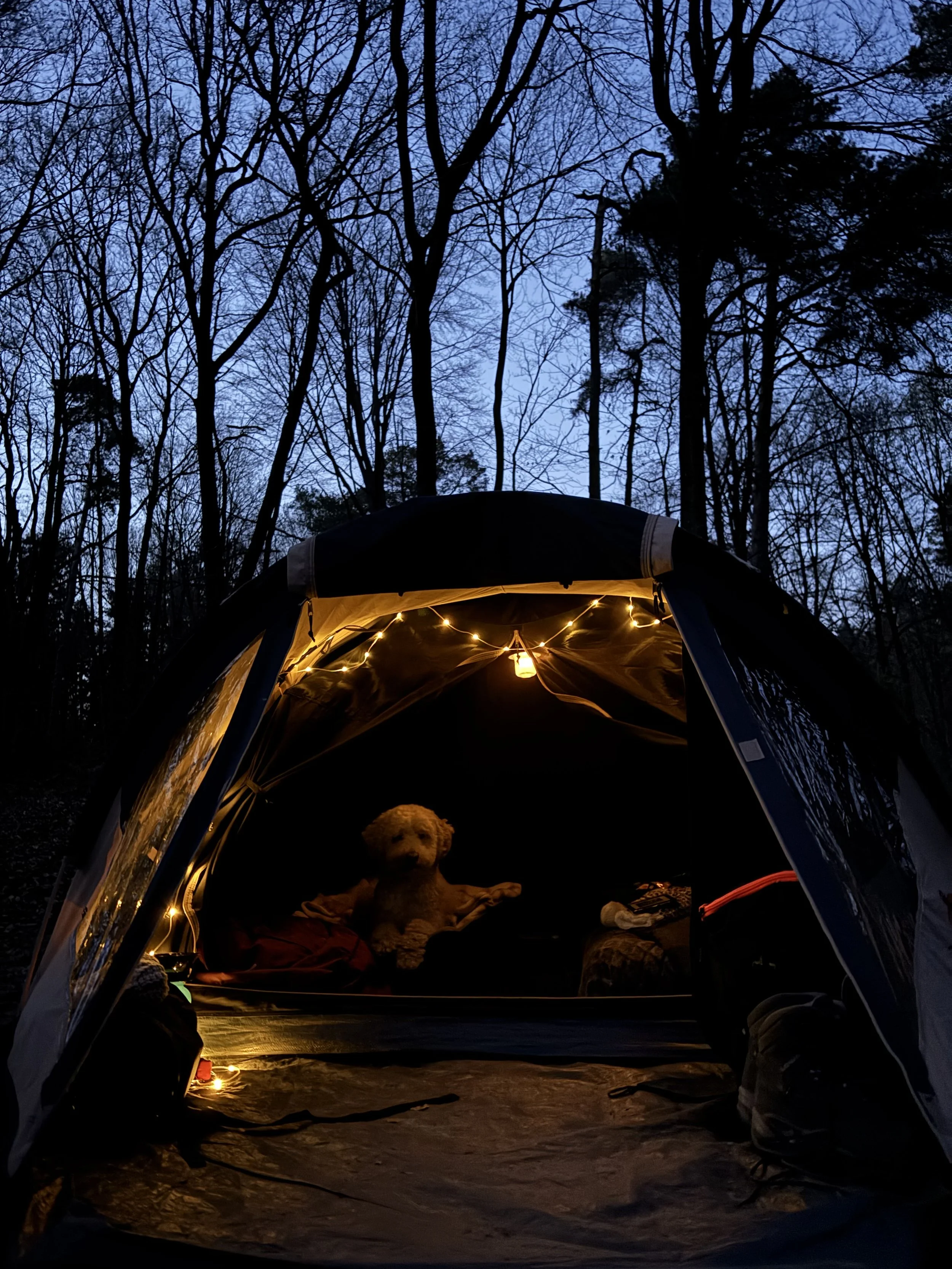 Van snuffeltuig tot slaapzak