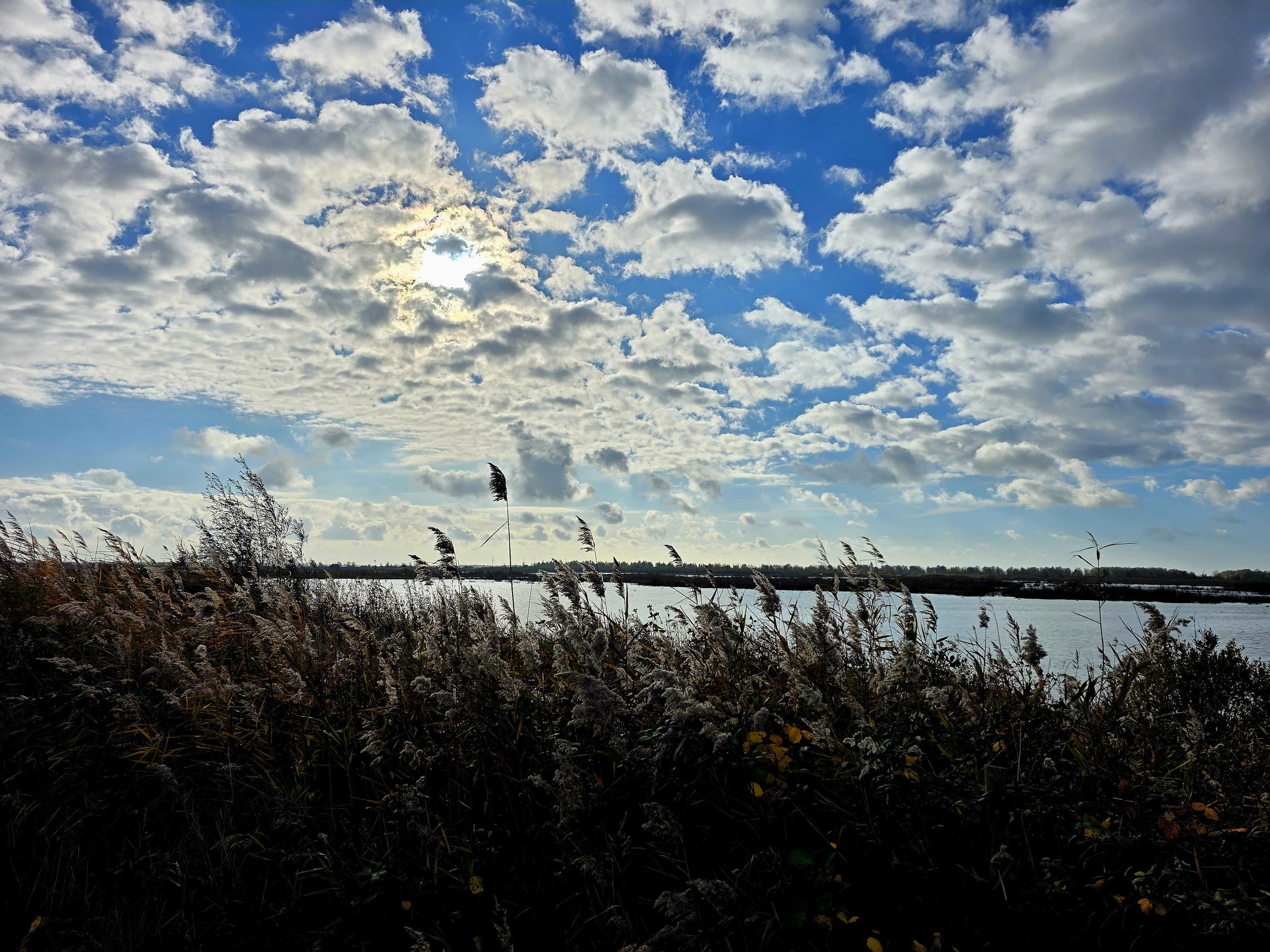 🌞 Tiengemeenten met twee doodles, mams en een eiland dat ons collectief adopteerde