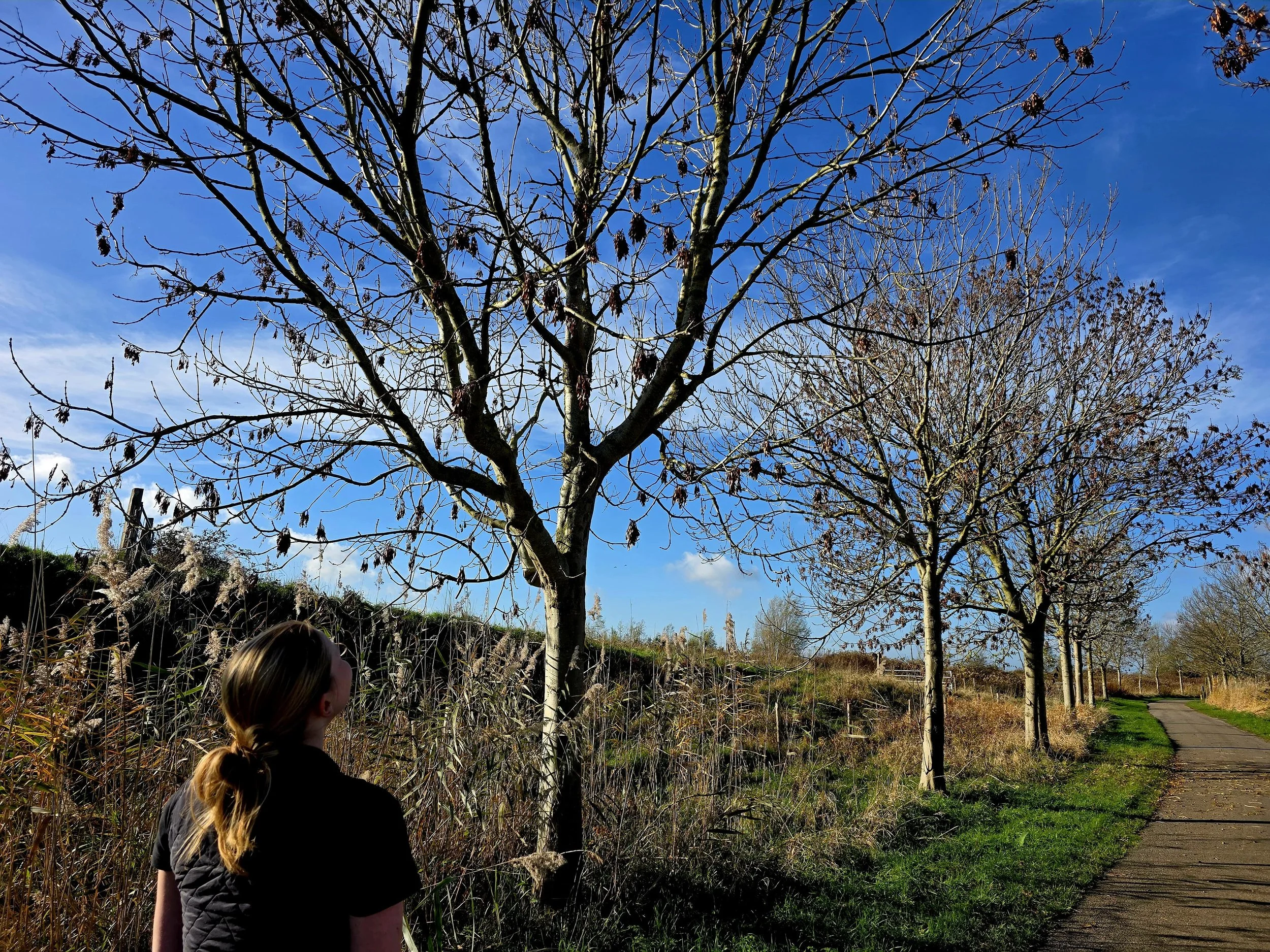 WhatsApp Image 2025-11-09 at 15.13.34.jpeg