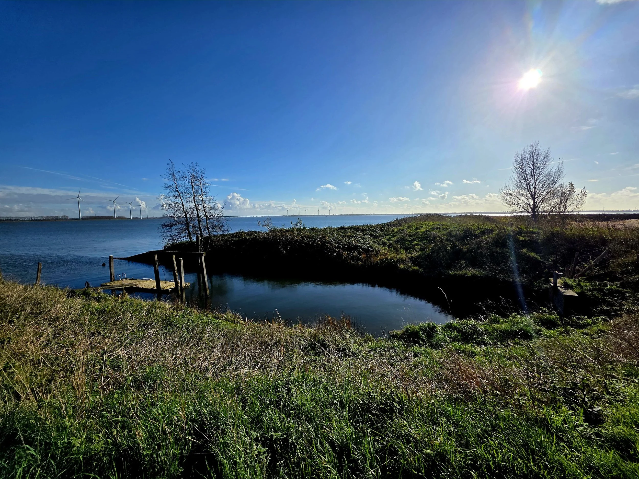 WhatsApp Image 2025-11-09 at 15.11.19.jpeg