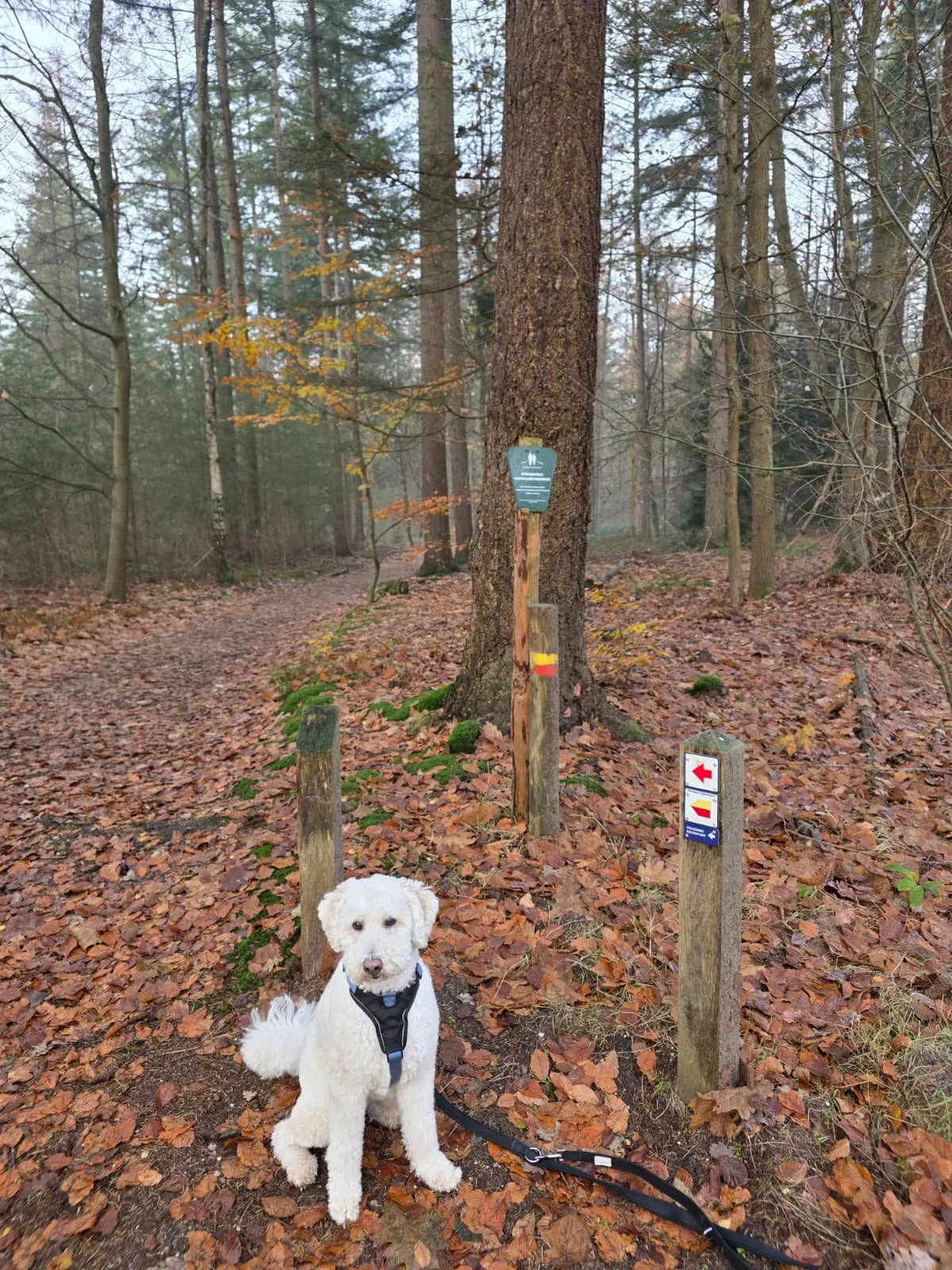 WhatsApp Image 2025-11-23 at 17.15.05.jpeg