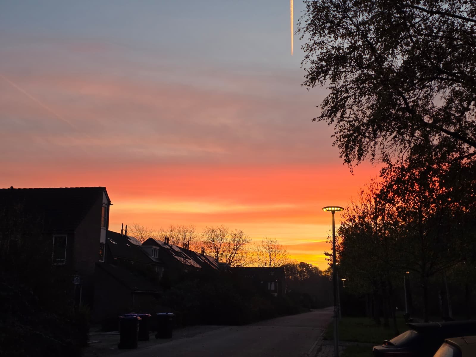 WhatsApp Image 2025-11-23 at 17.15.07.jpeg