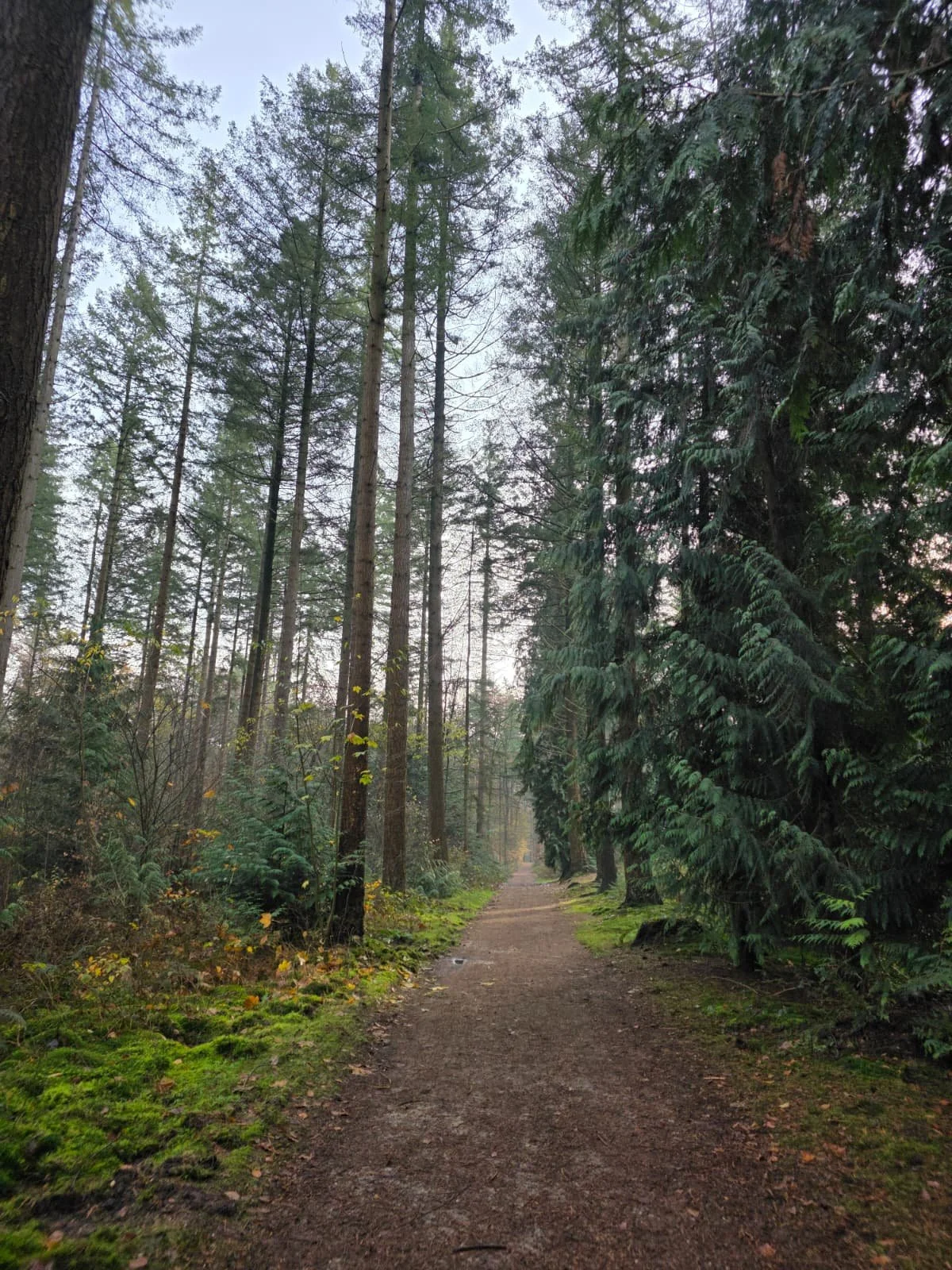 WhatsApp Image 2025-11-23 at 17.14.52.jpeg