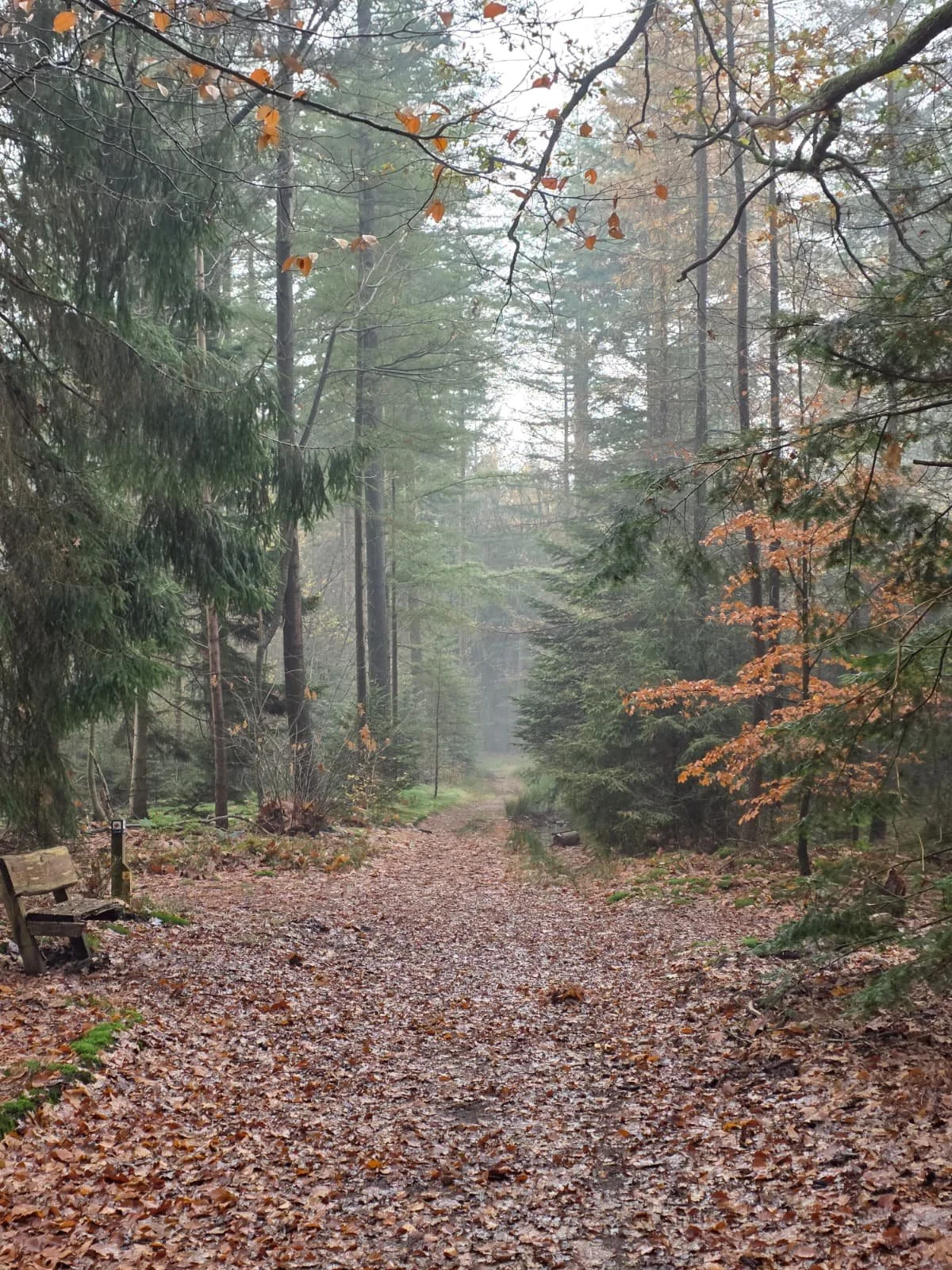 WhatsApp Image 2025-11-23 at 17.30.15.jpeg