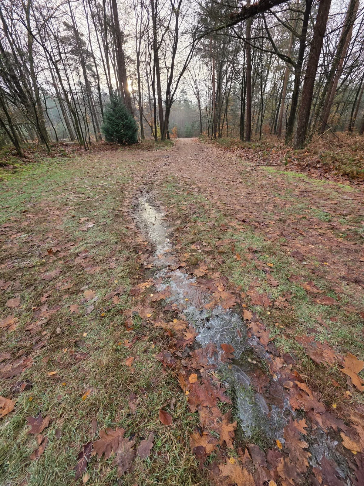 WhatsApp Image 2025-11-23 at 17.30.15 (1).jpeg