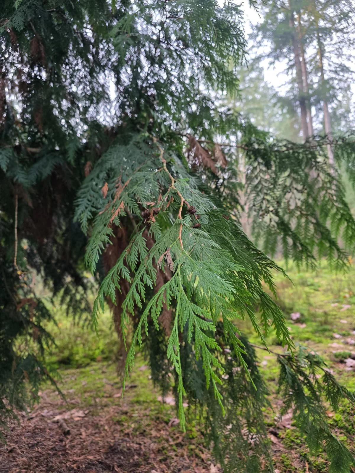 WhatsApp Image 2025-11-23 at 17.30.15 (2).jpeg