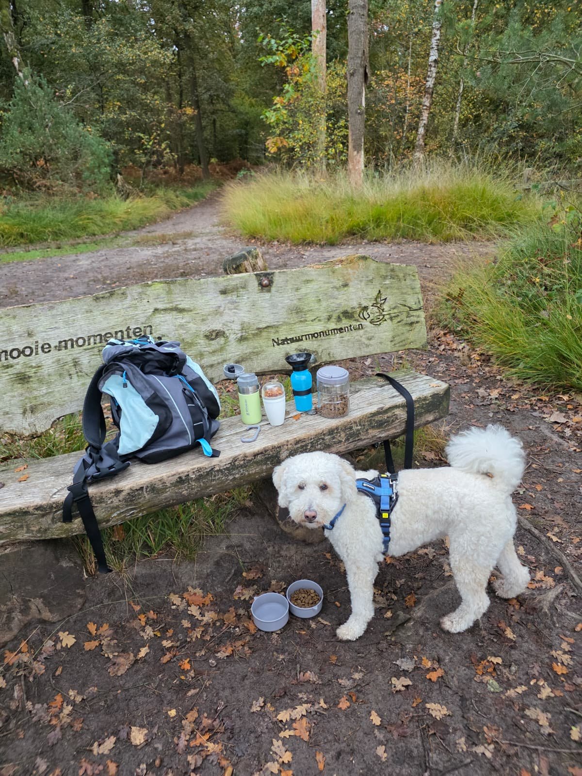 WhatsApp Image 2025-11-23 at 17.20.57 (1).jpeg