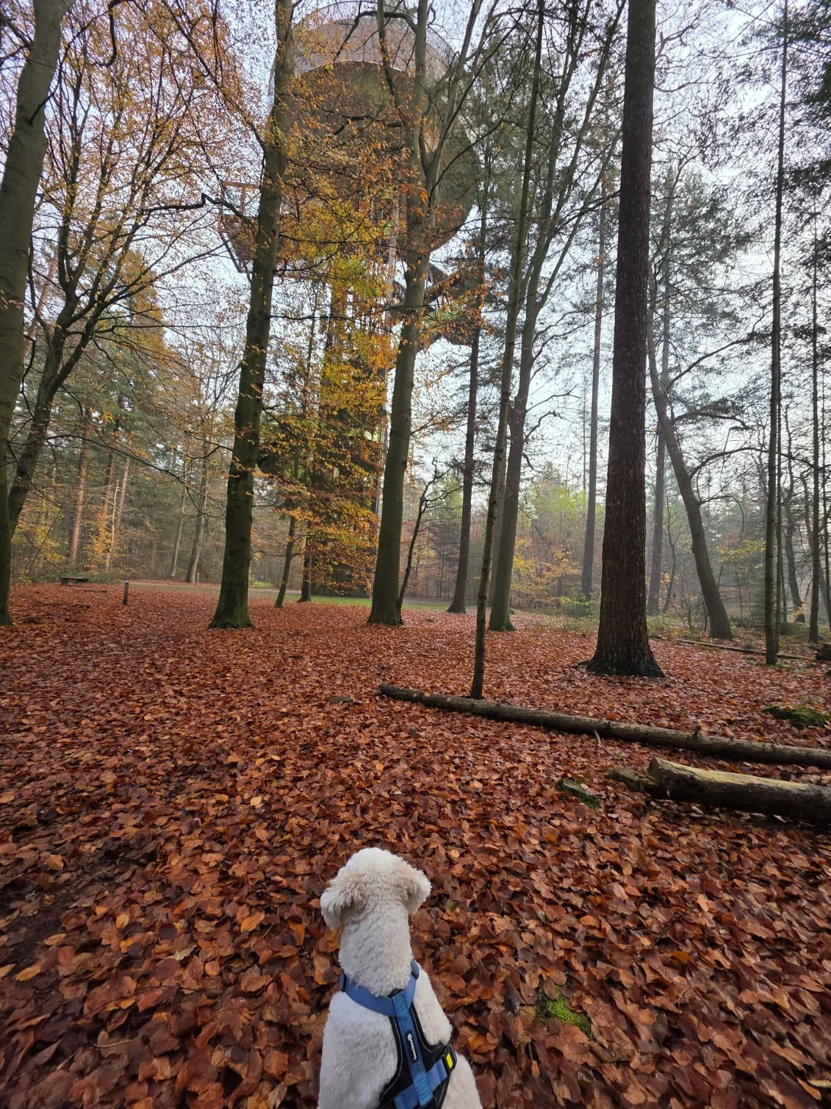 WhatsApp Image 2025-11-23 at 17.14.55 (1).jpeg