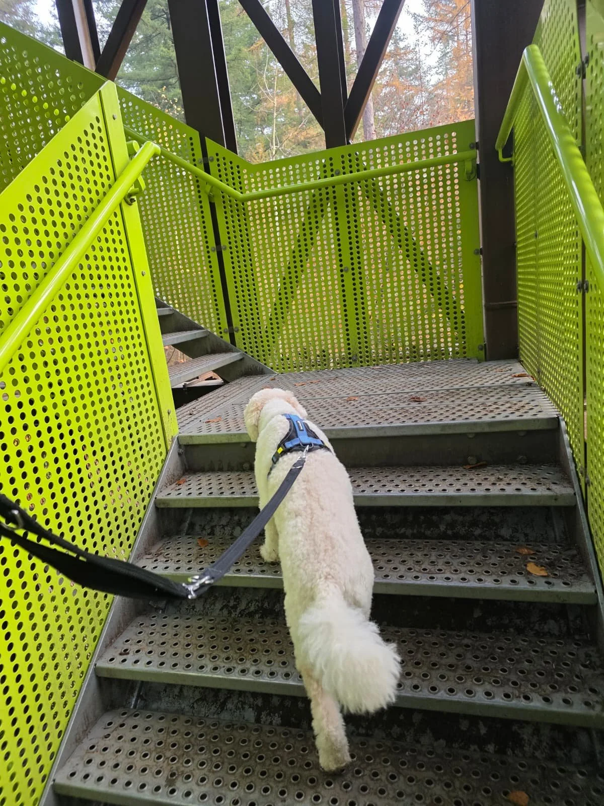 WhatsApp Image 2025-11-23 at 17.15.04 (1).jpeg