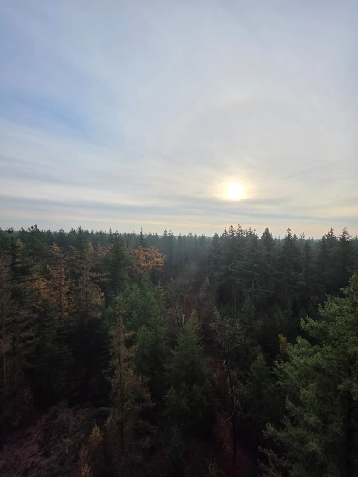 WhatsApp Image 2025-11-23 at 17.15.03.jpeg