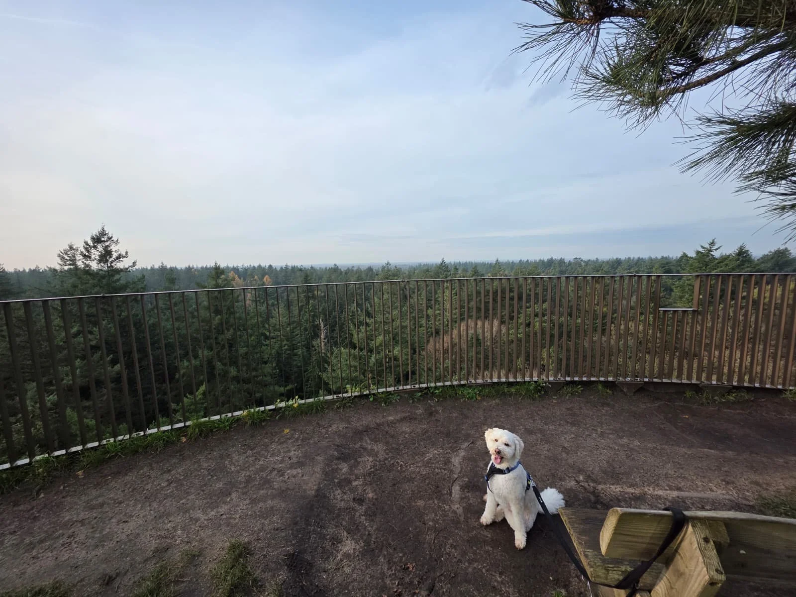 WhatsApp Image 2025-11-23 at 17.14.56.jpeg