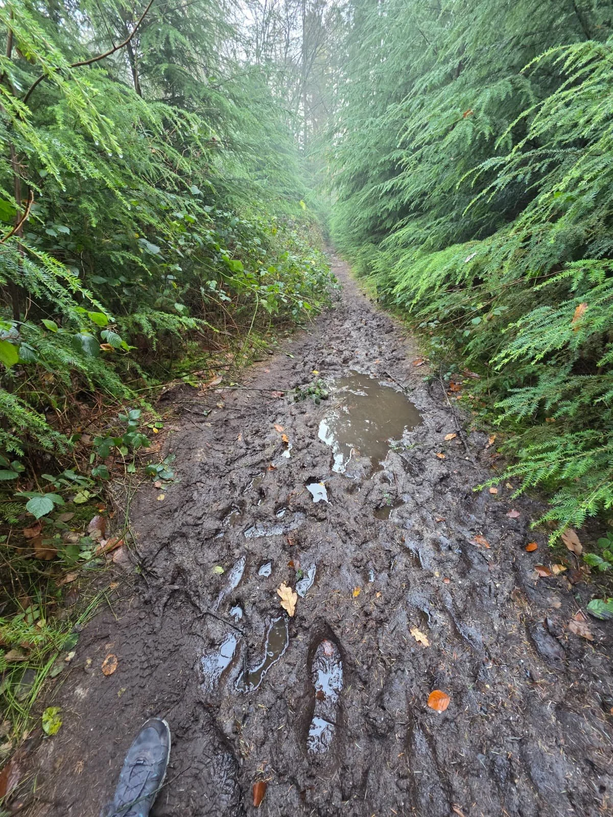 WhatsApp Image 2025-11-23 at 17.14.54 (2).jpeg