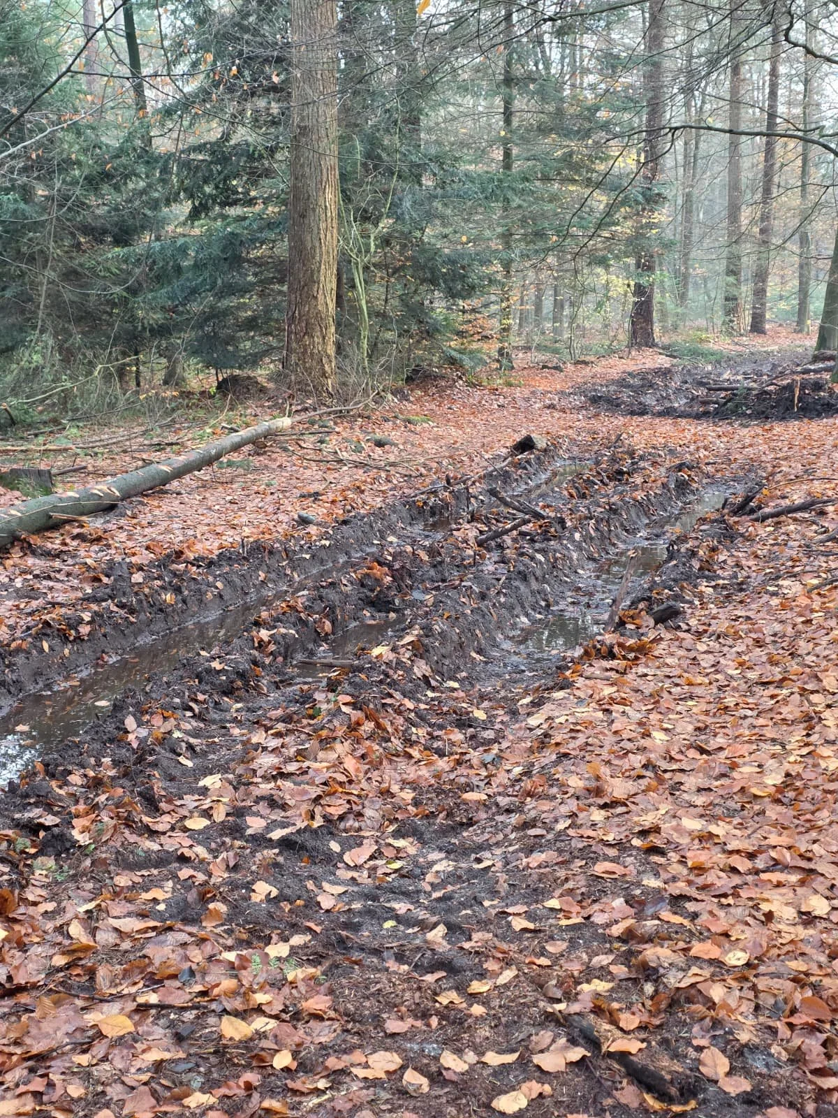 WhatsApp Image 2025-11-23 at 17.14.55.jpeg