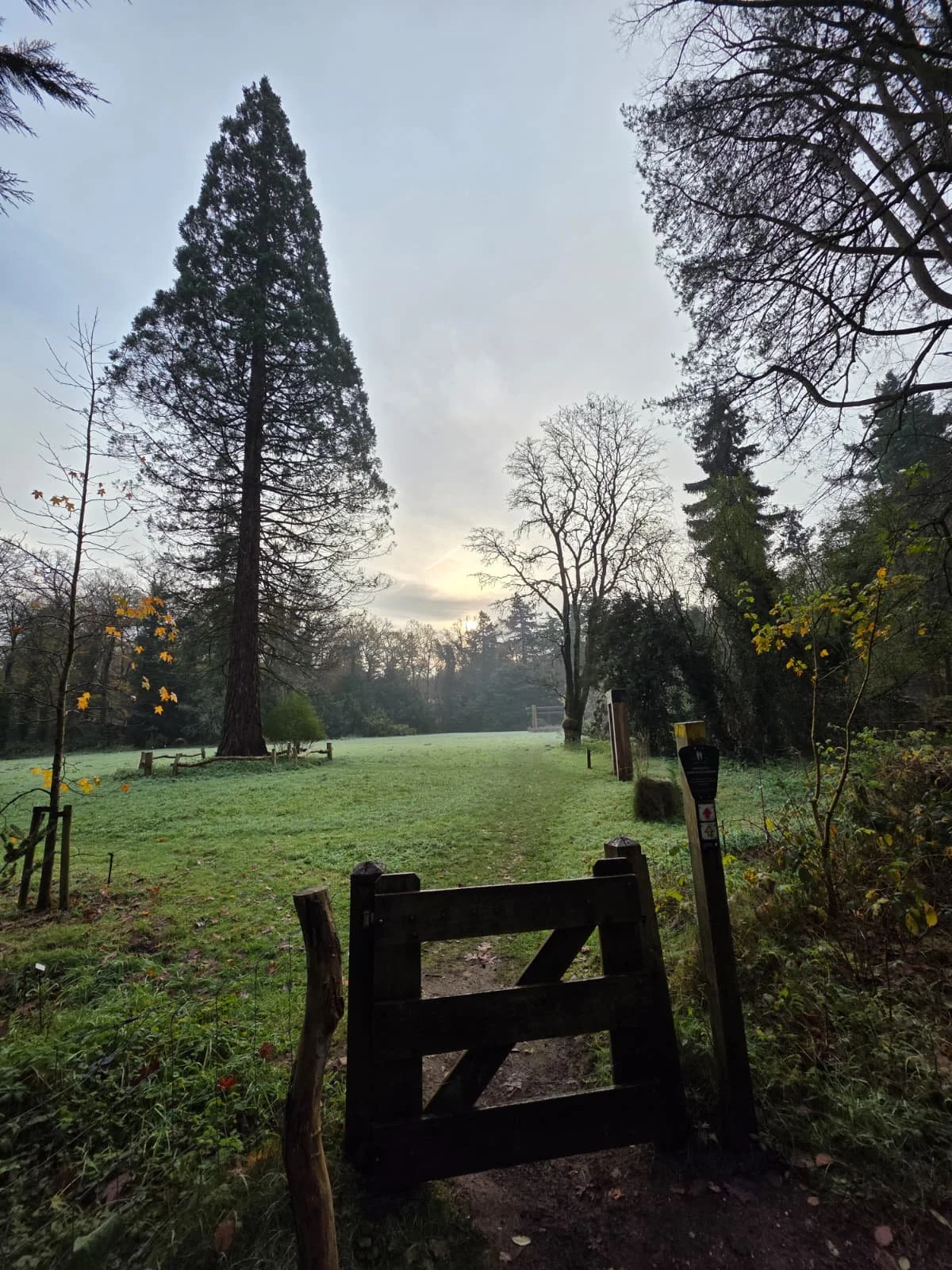 Vrieskou, modderpaden &amp; bostorens bedwingen