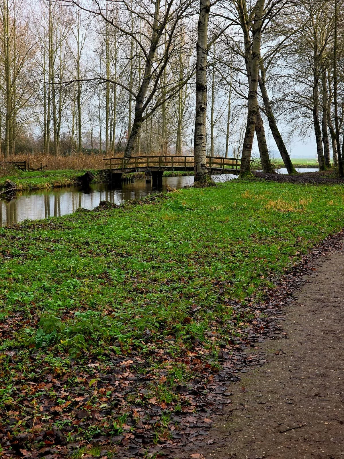 WhatsApp Image 2025-12-21 at 15.58.21.jpeg