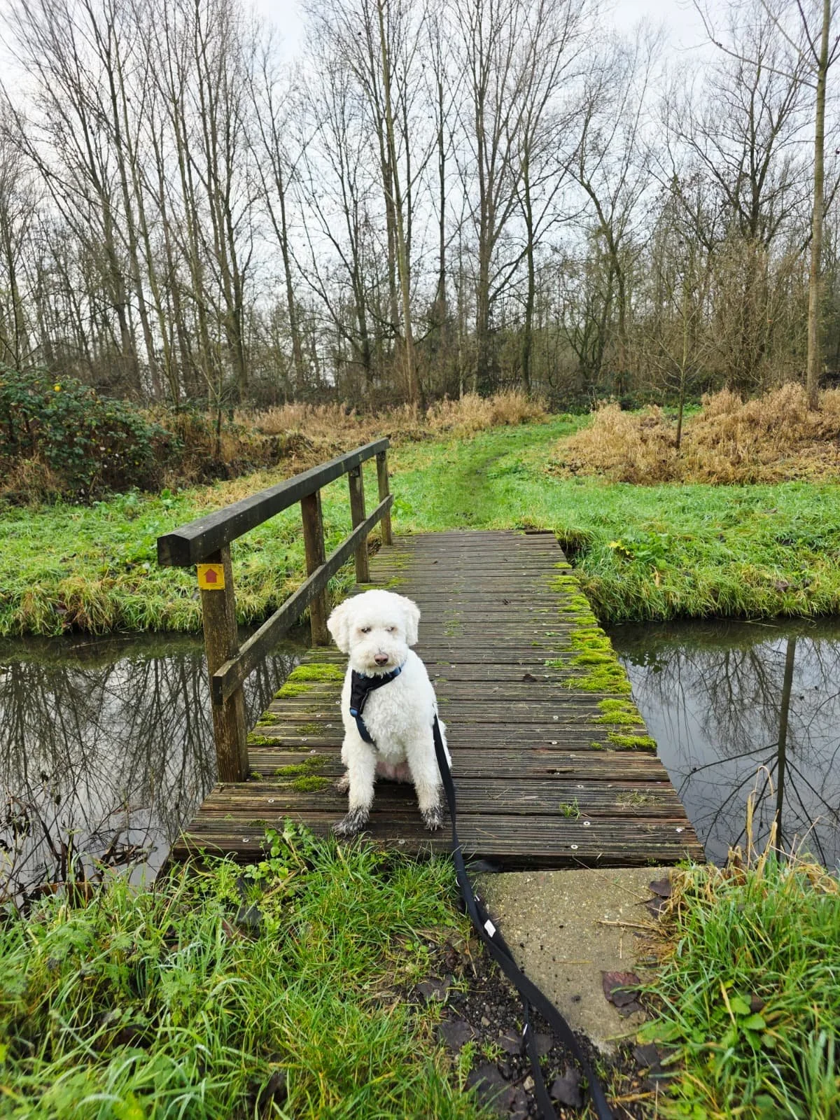 WhatsApp Image 2025-12-21 at 15.58.18.jpeg