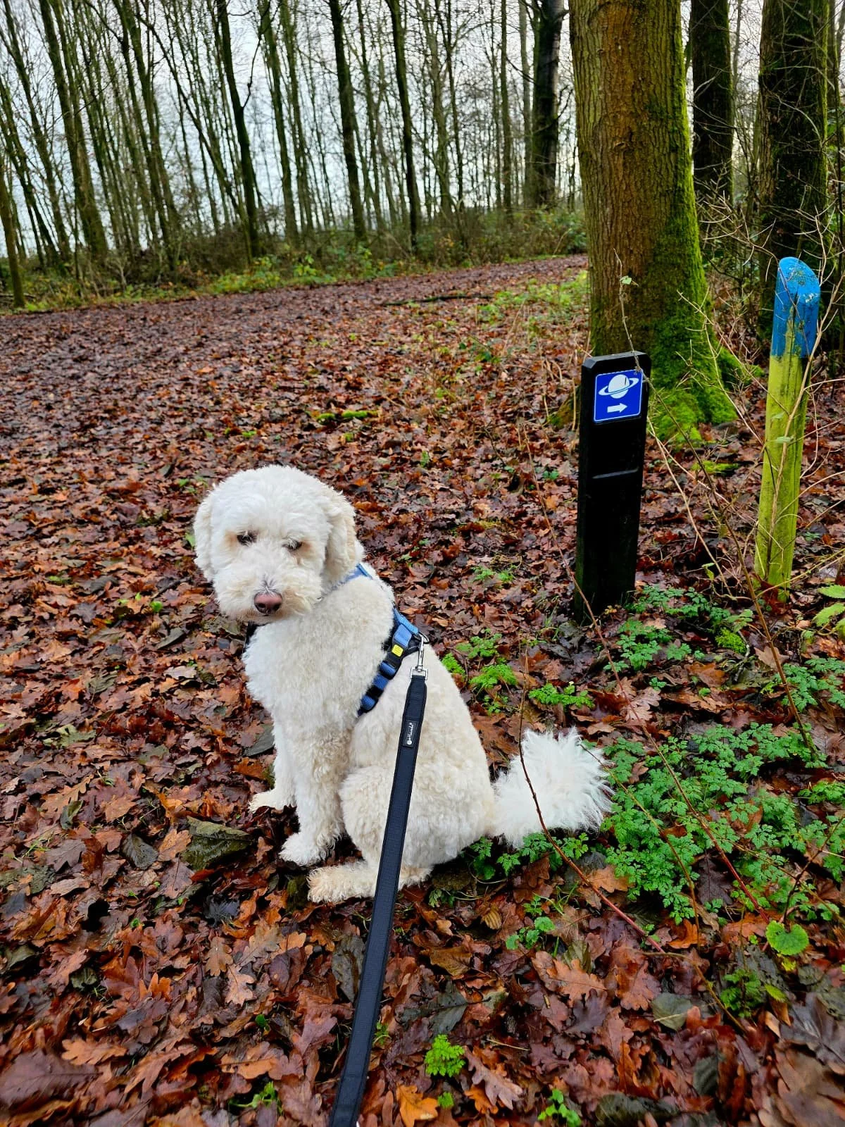 WhatsApp Image 2025-12-21 at 15.58.18 (2).jpeg