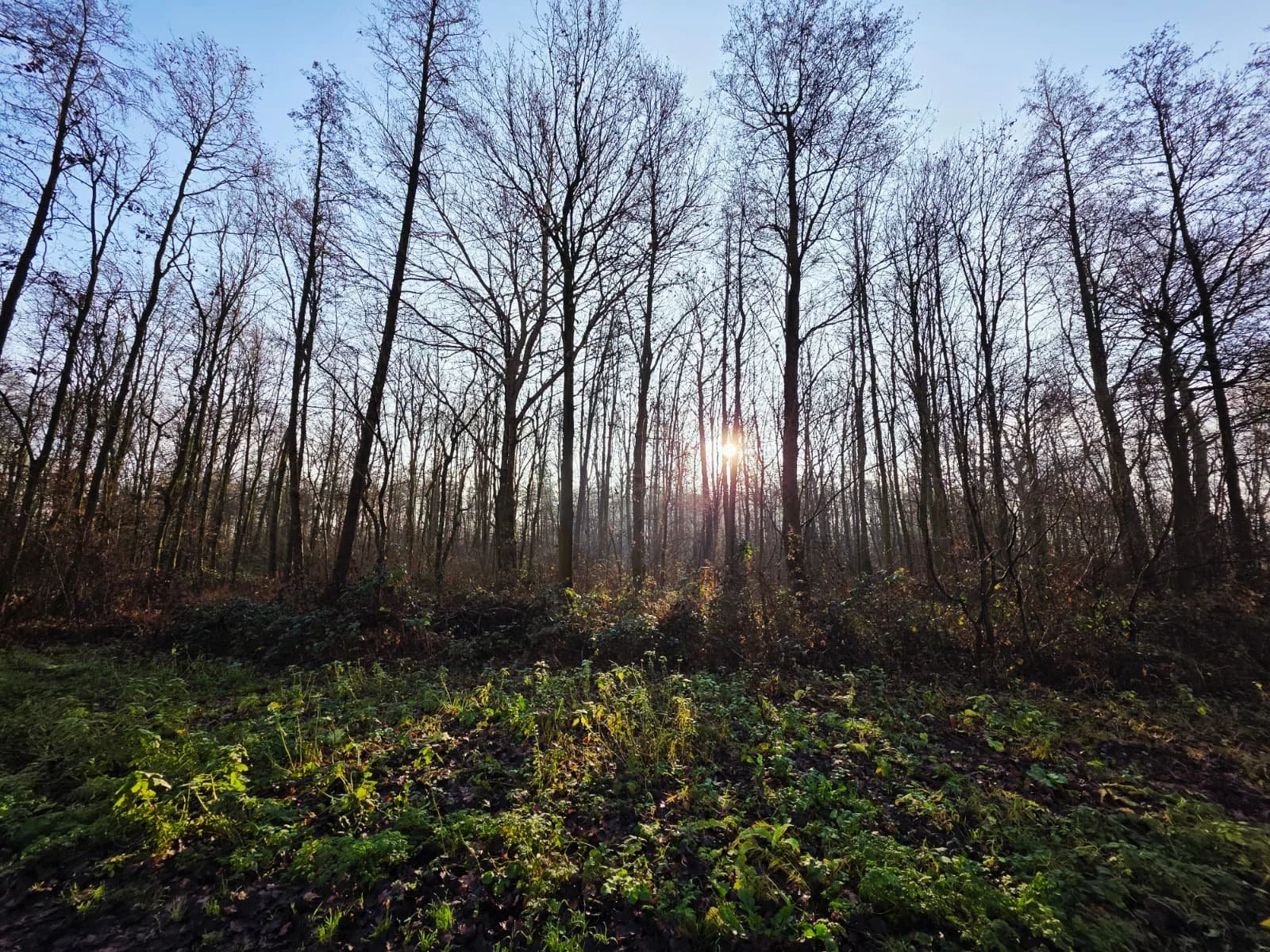 Vlak maar vol verwondering - planeten in de polder!