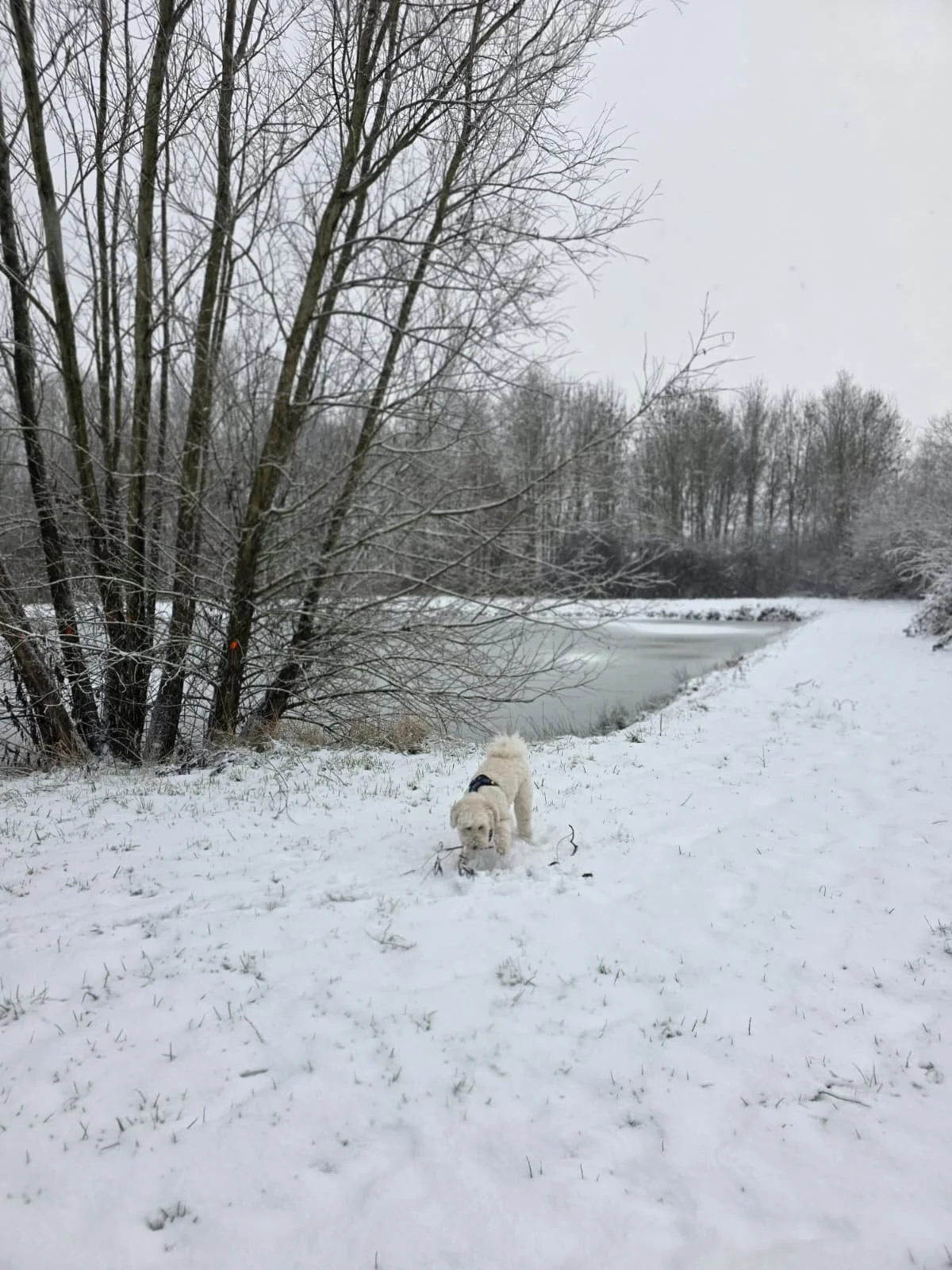 WhatsApp Image 2026-01-04 at 14.41.28.jpeg