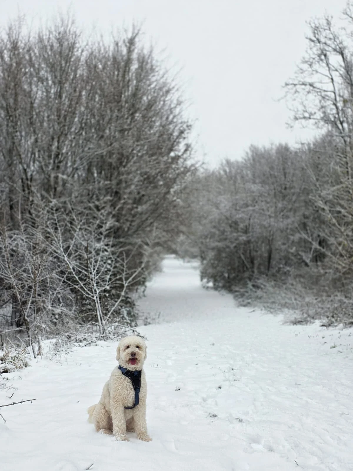 Sneeuw, side eyes en Satan in haar natuurlijke habitat