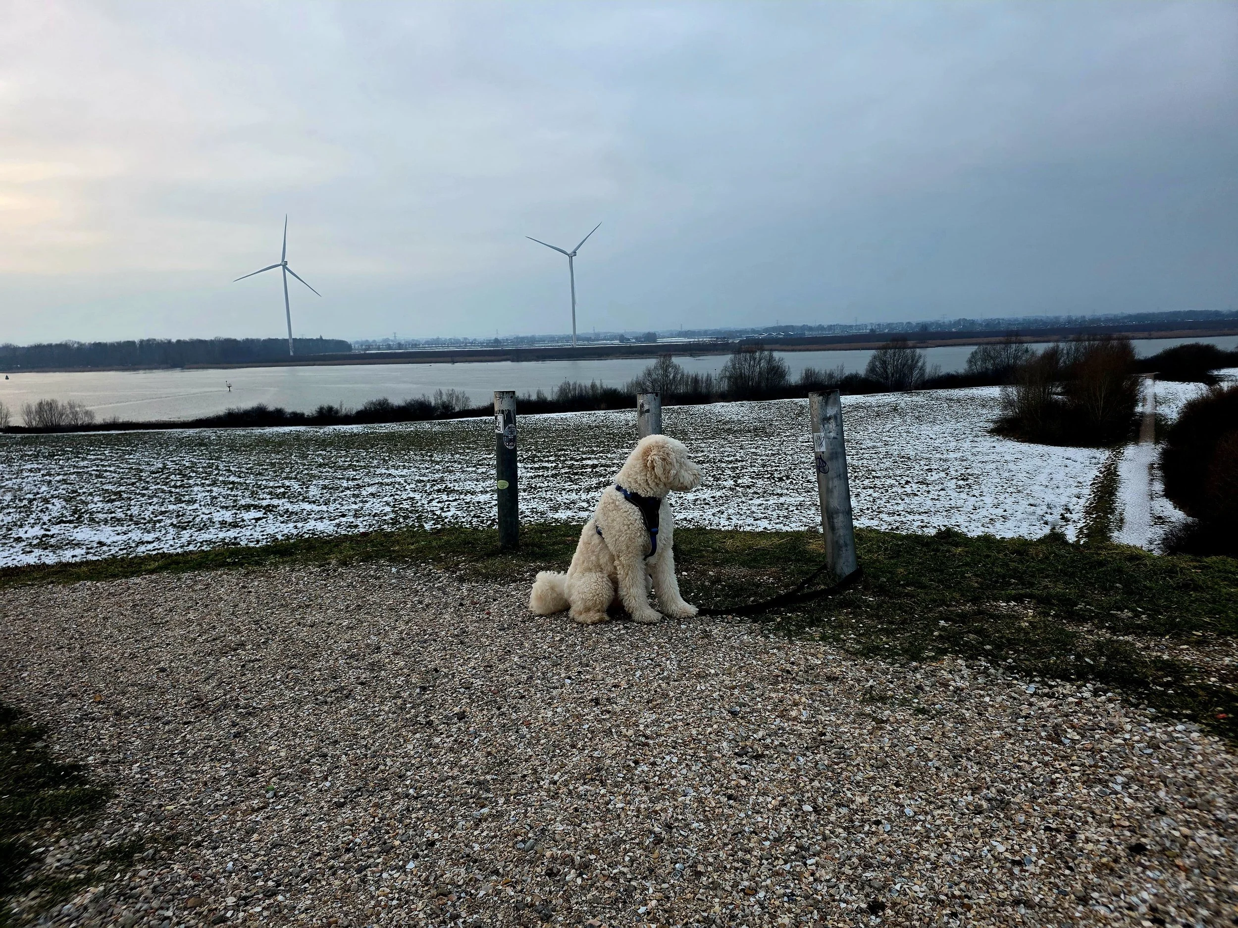 WhatsApp Image 2026-01-11 at 15.57.45 (2).jpeg