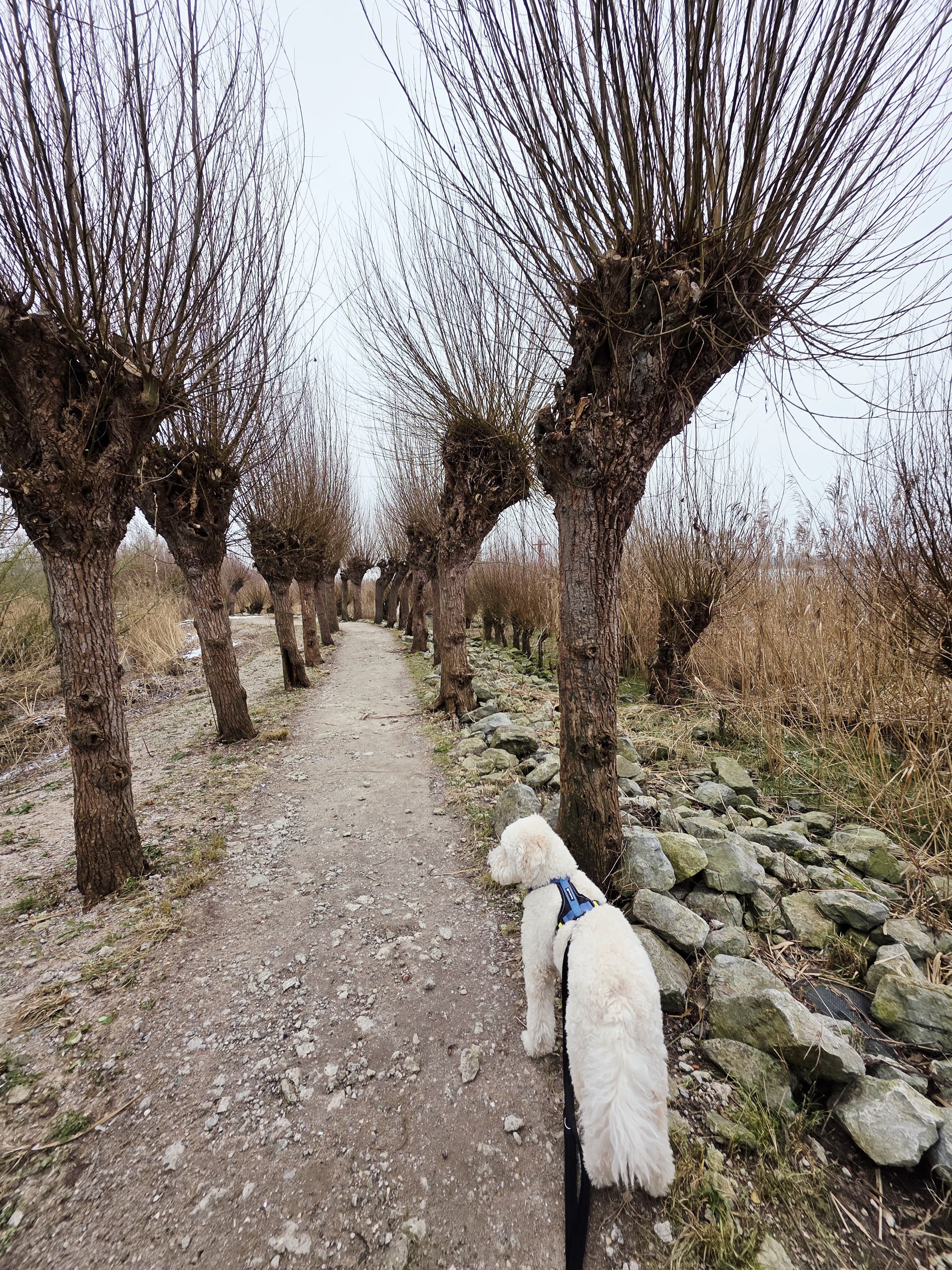 WhatsApp Image 2026-01-11 at 15.57.42 (2).jpeg