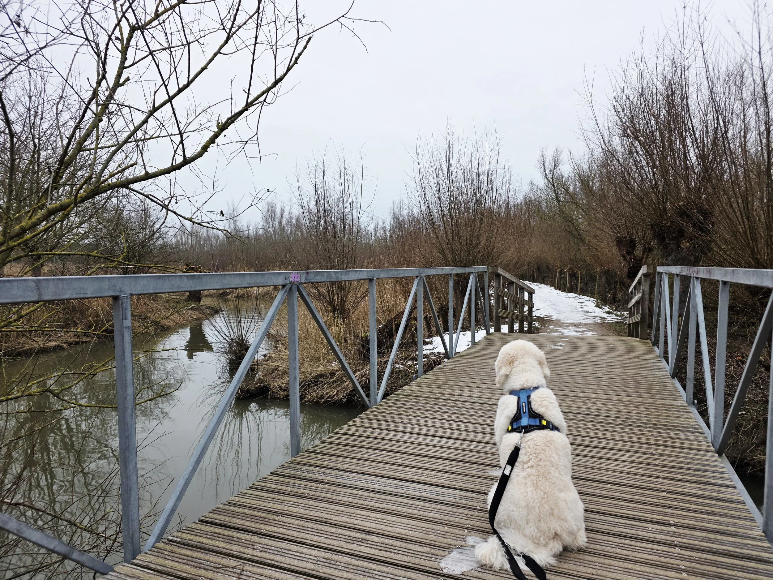 WhatsApp Image 2026-01-11 at 15.57.44 (1).jpeg