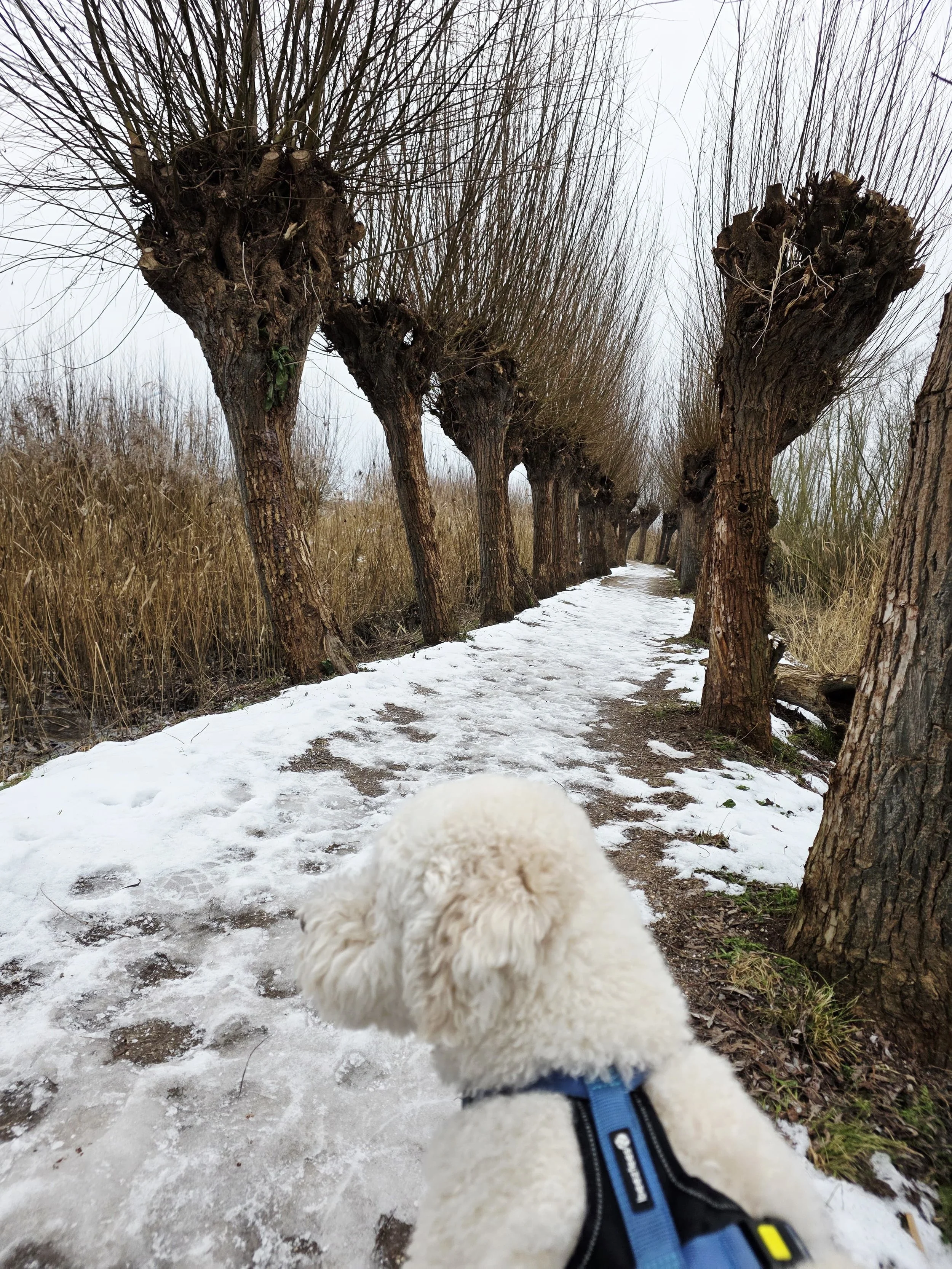 WhatsApp Image 2026-01-11 at 16.18.13.jpeg