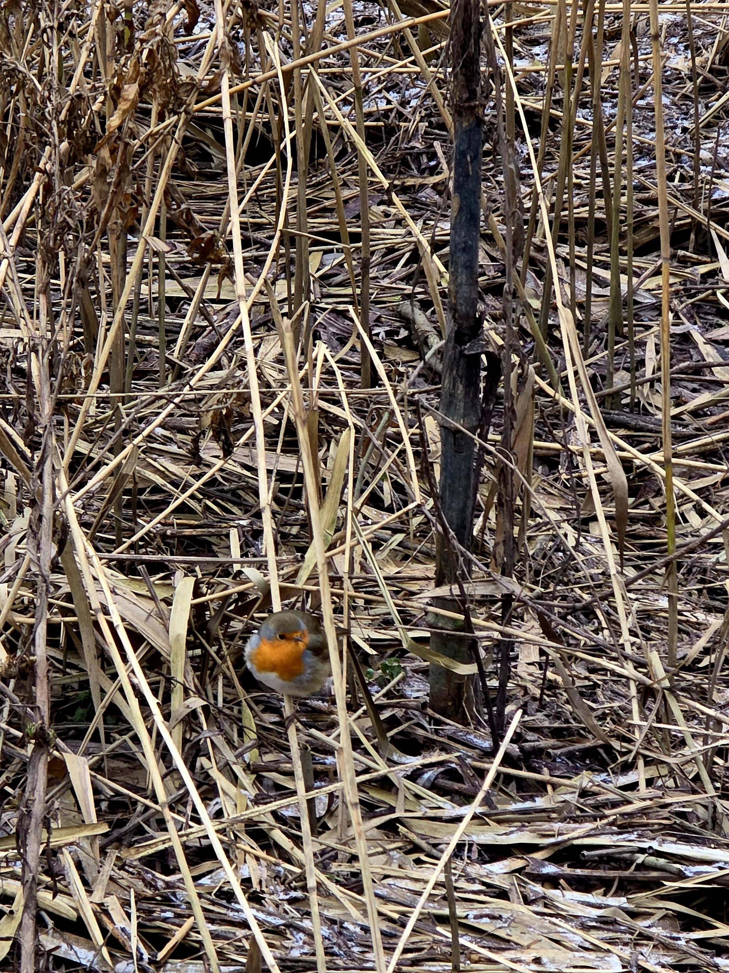 WhatsApp Image 2026-01-11 at 15.57.37 (2).jpeg