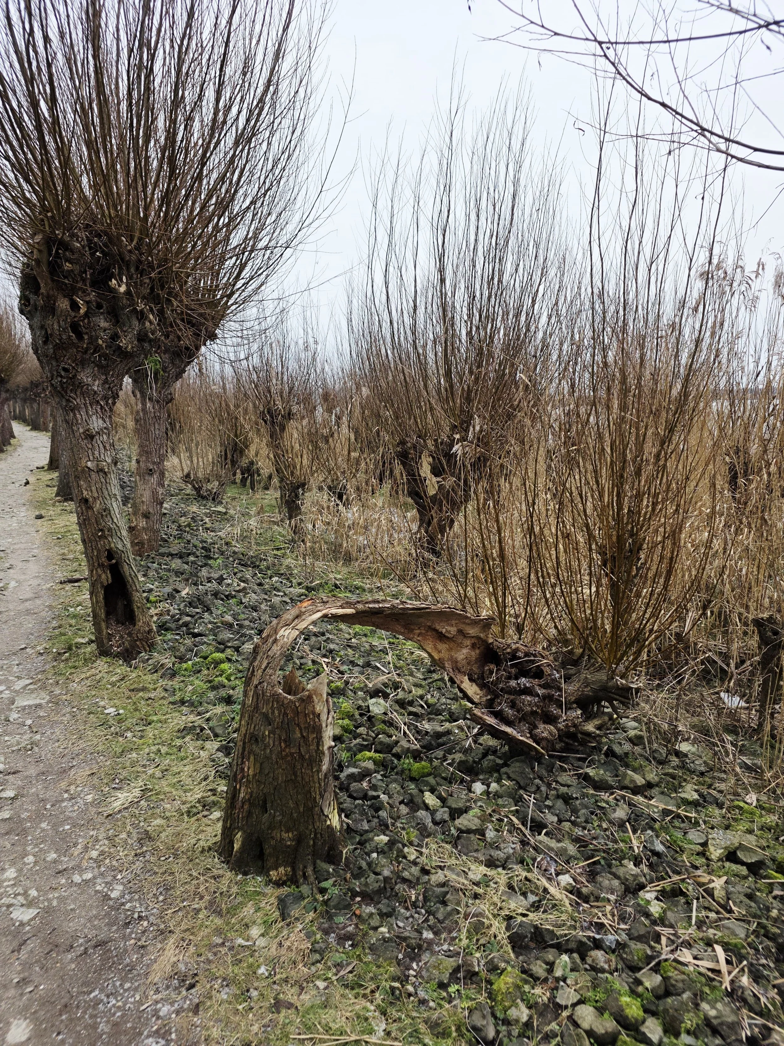 WhatsApp Image 2026-01-11 at 15.57.43 (1).jpeg