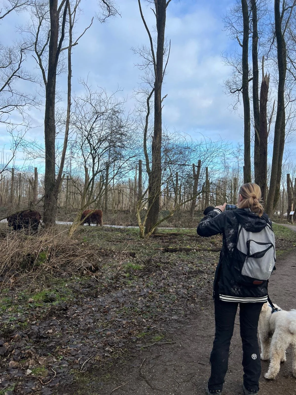 WhatsApp Image 2026-01-18 at 17.58.19 (3).jpeg