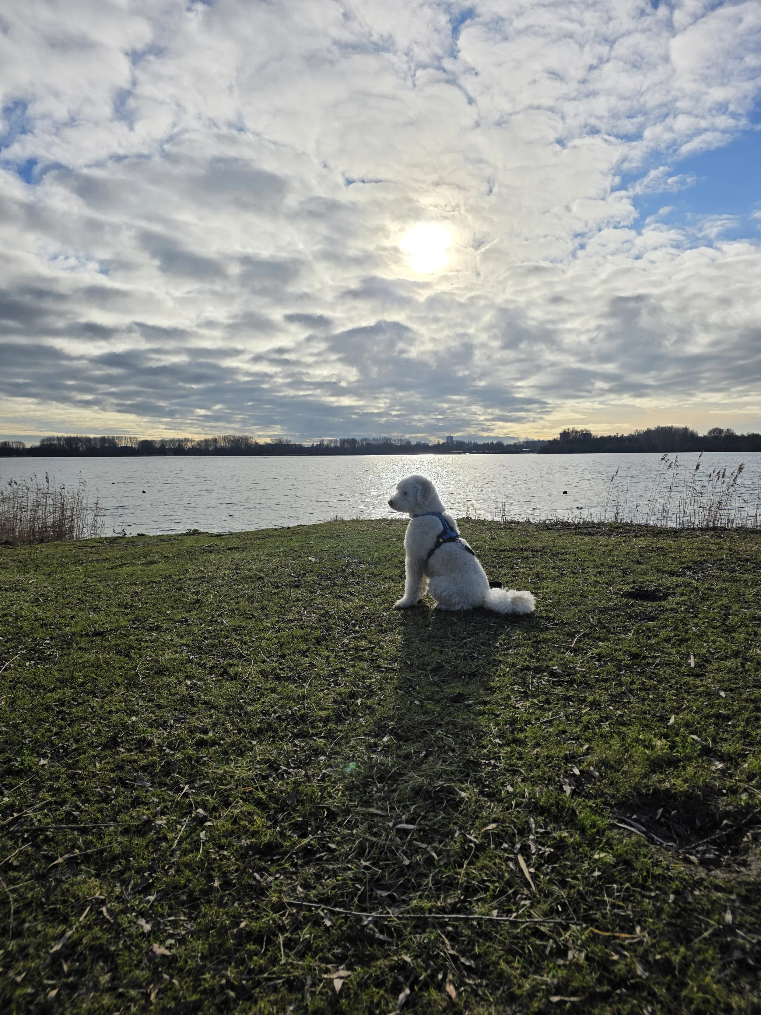 WhatsApp Image 2026-01-18 at 17.58.22.jpeg