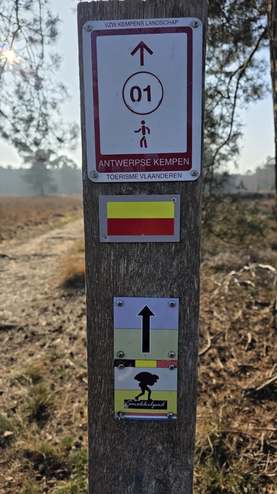 WhatsApp Image 2026-01-28 at 19.00.59.jpeg