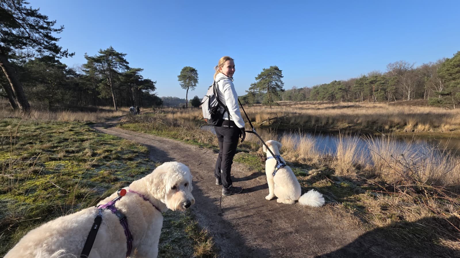 WhatsApp Image 2026-01-28 at 19.00.55 (1).jpeg