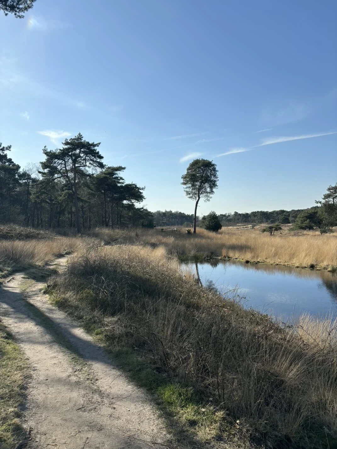 WhatsApp Image 2026-01-28 at 19.01.02 (1).jpeg