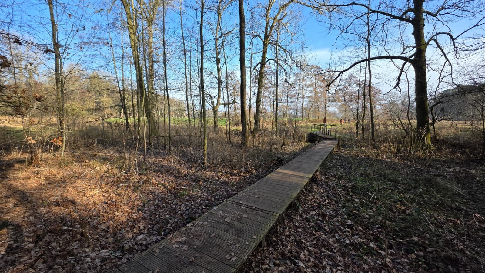 WhatsApp Image 2026-01-28 at 19.00.59 (1).jpeg