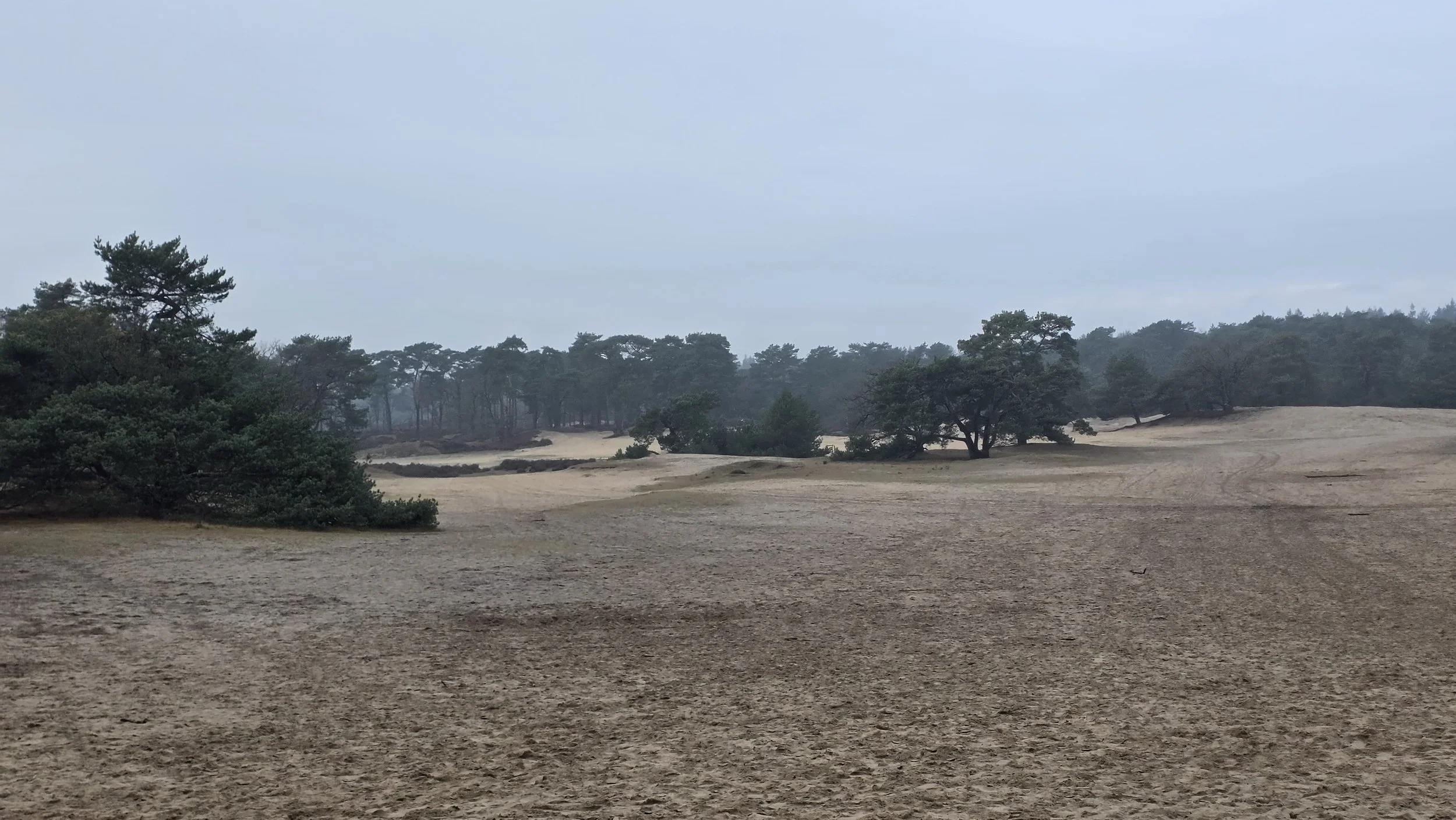 WhatsApp Image 2026-02-01 at 15.23.35.jpeg