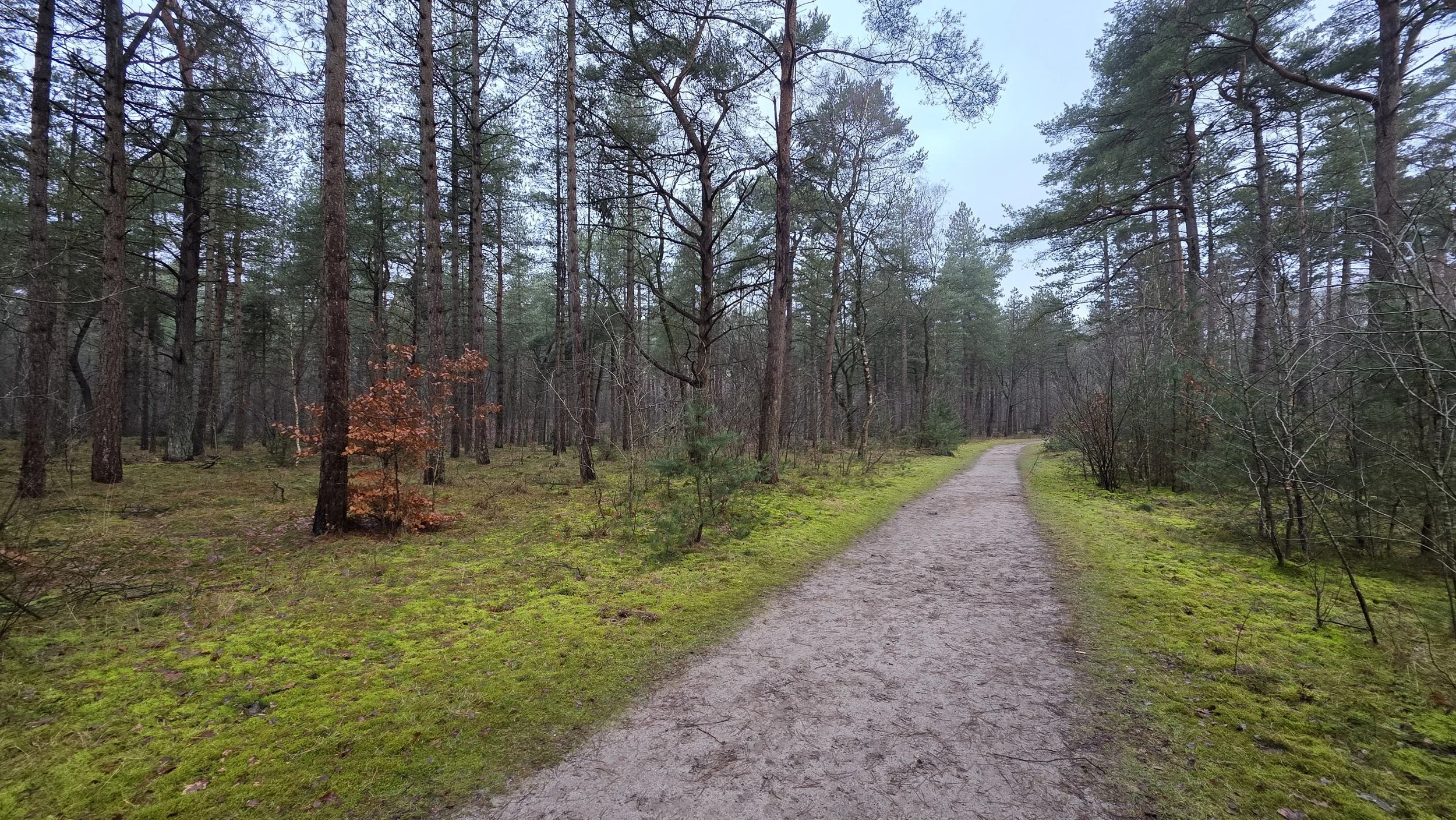 WhatsApp Image 2026-02-01 at 15.22.53.jpeg