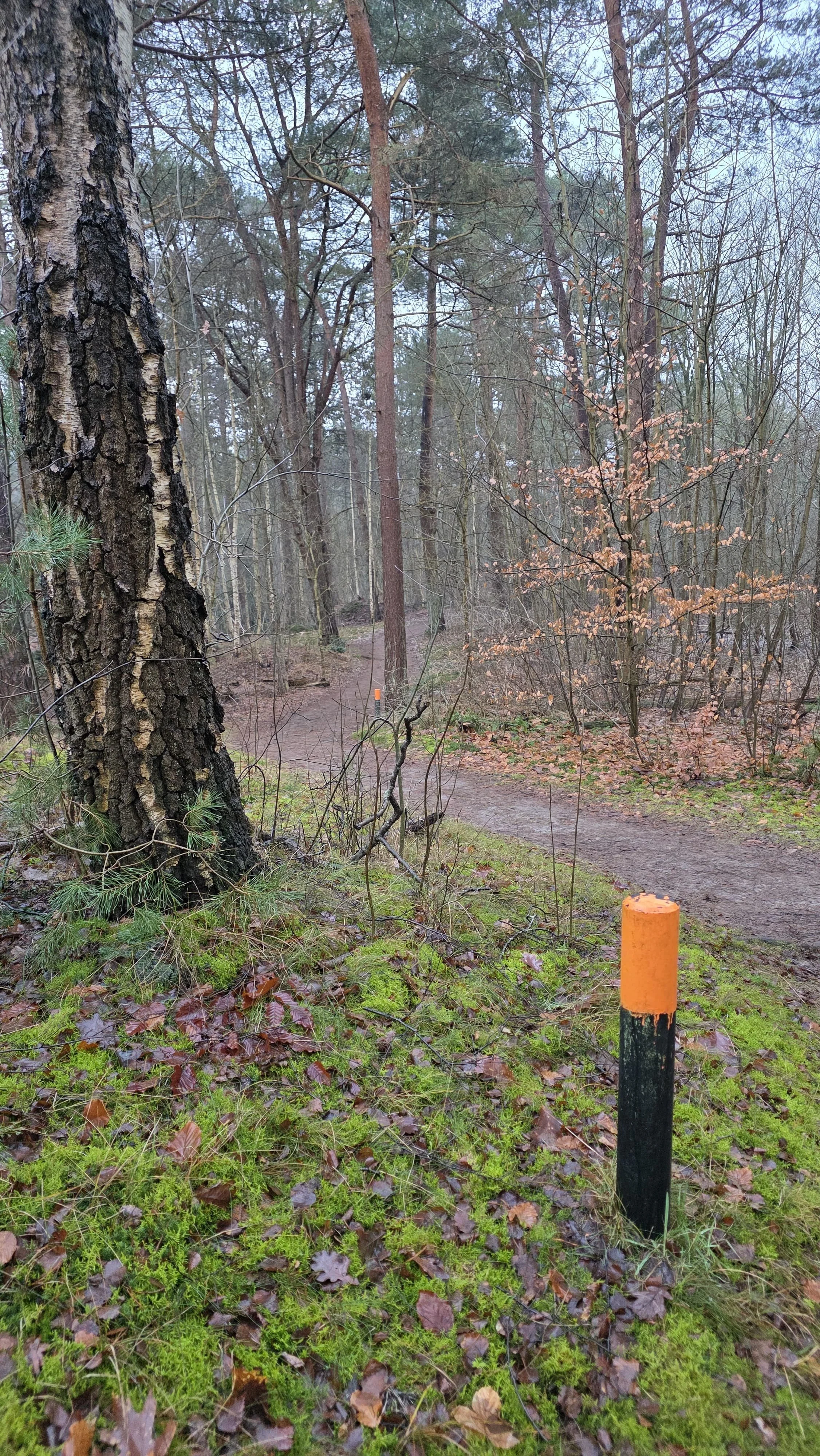 WhatsApp Image 2026-02-01 at 15.22.29 (3).jpeg