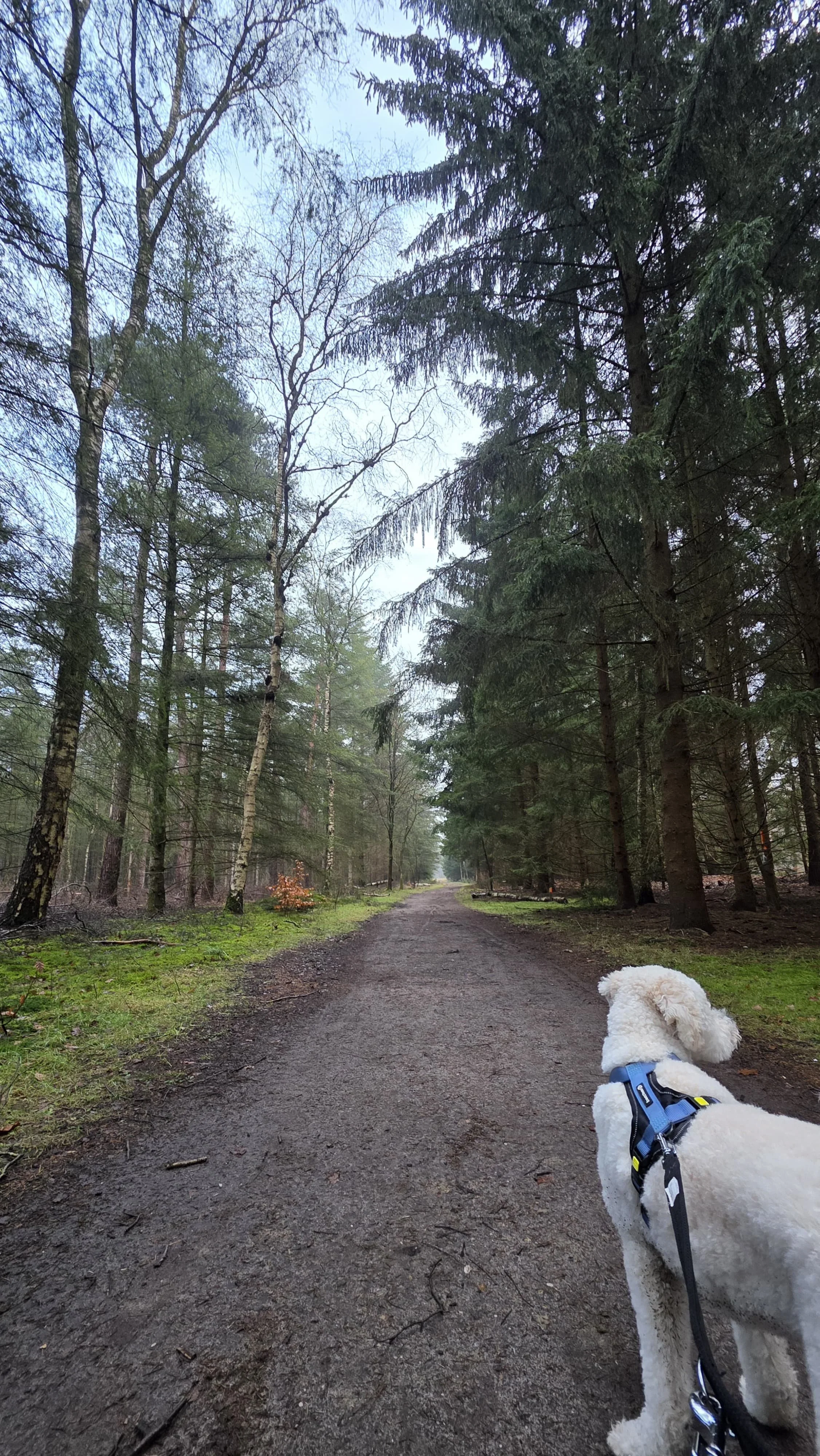 WhatsApp Image 2026-02-01 at 15.22.29 (2).jpeg